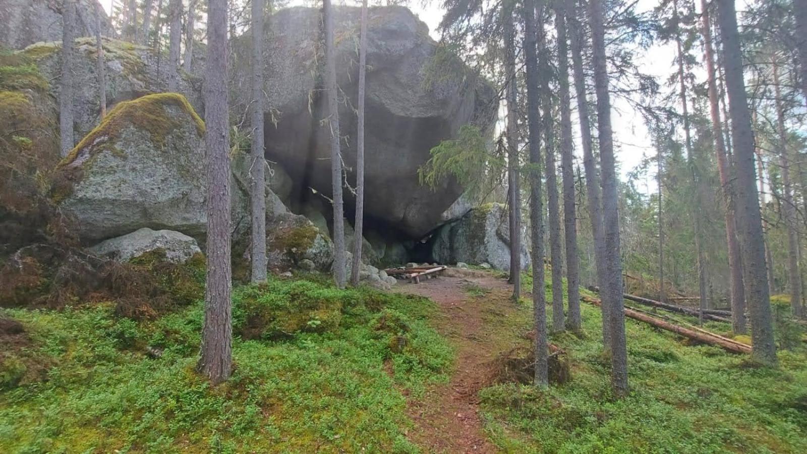 Photo 21
