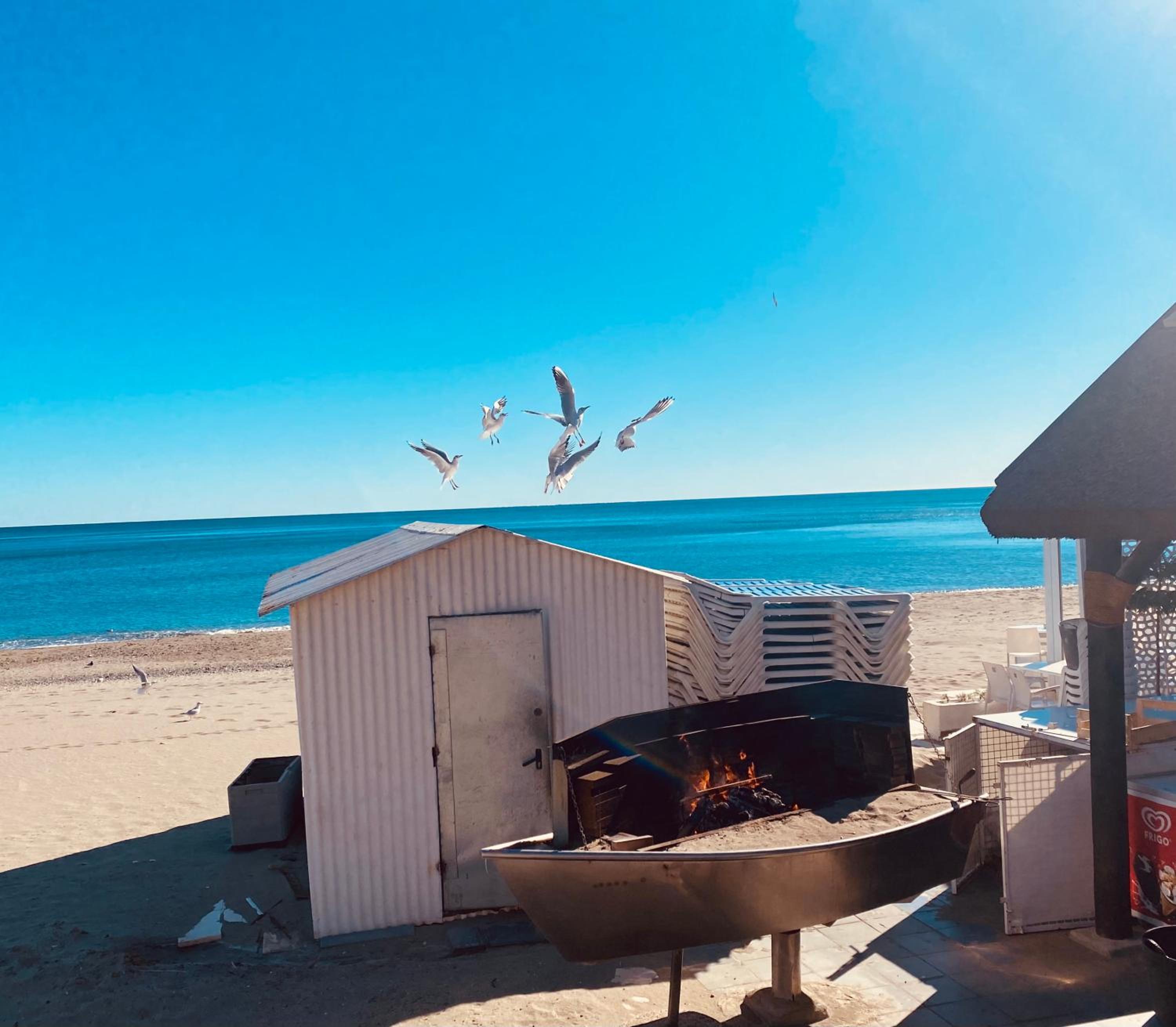 Apartamento Torreblanca del sol