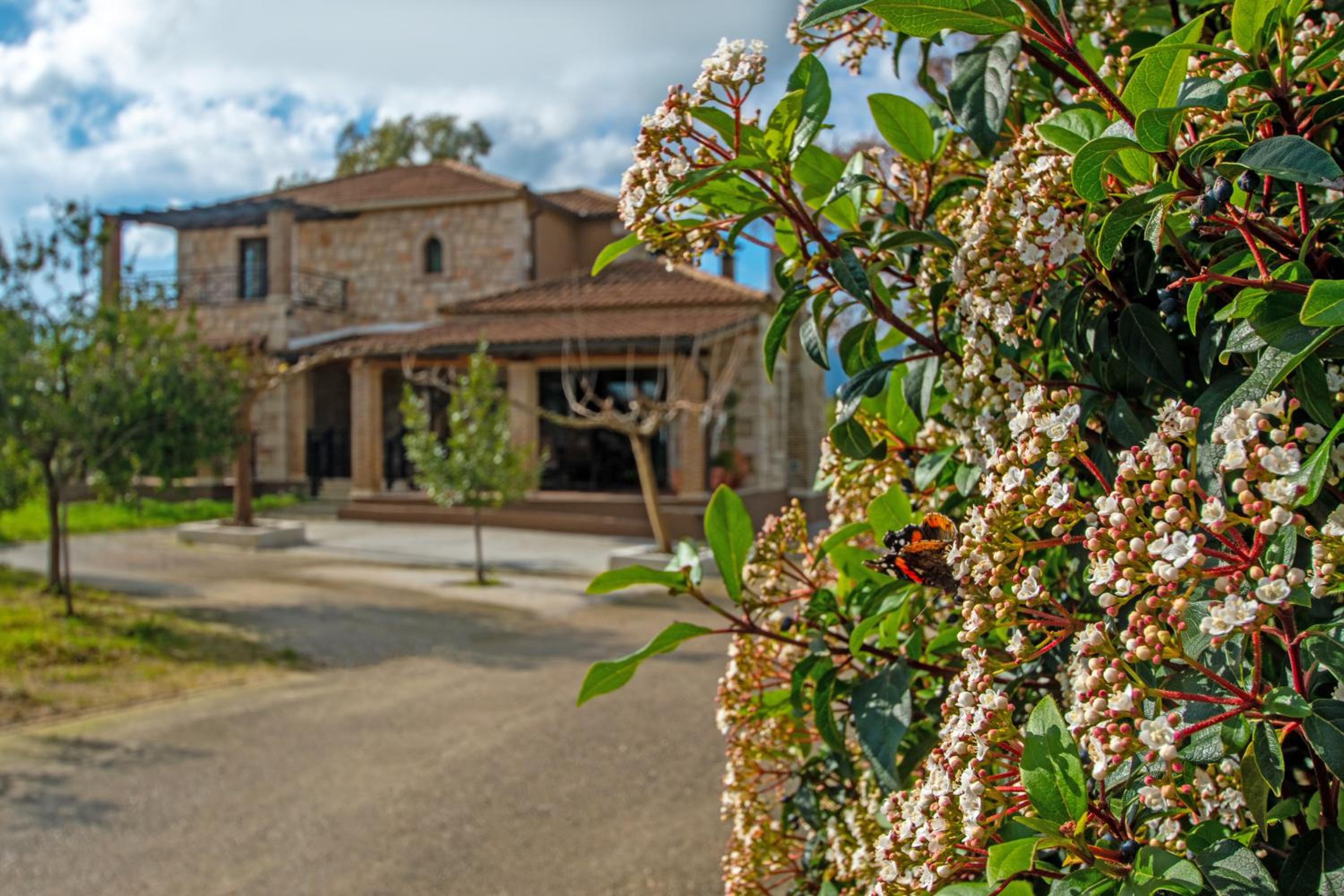 Casa Soleada