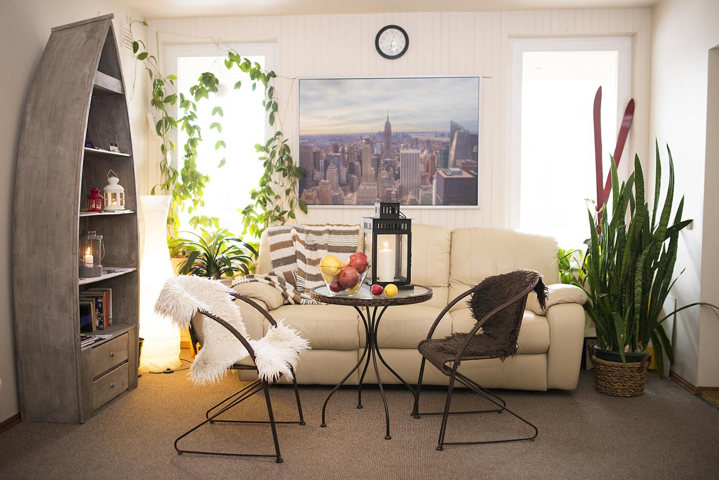 Drusva Apartamentai view 2
