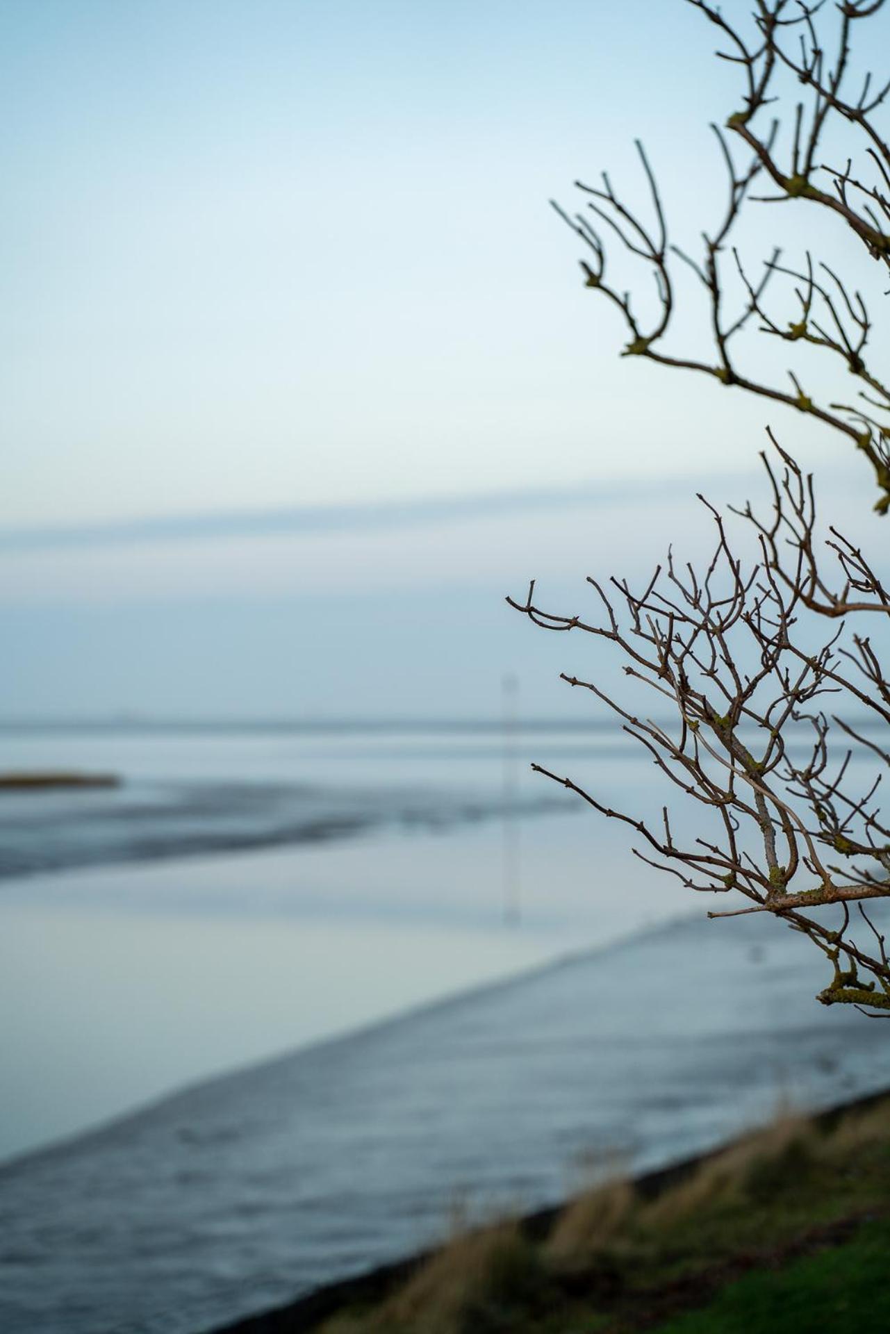 Urlaub an der Nordsee - NEU - Ferienhaus Deichliebe