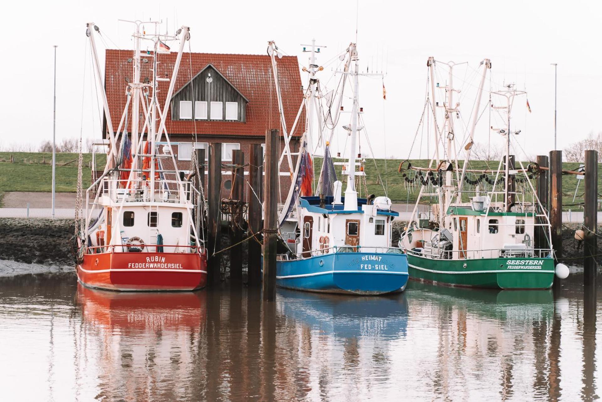 Urlaub an der Nordsee - NEU - Ferienhaus Deichliebe