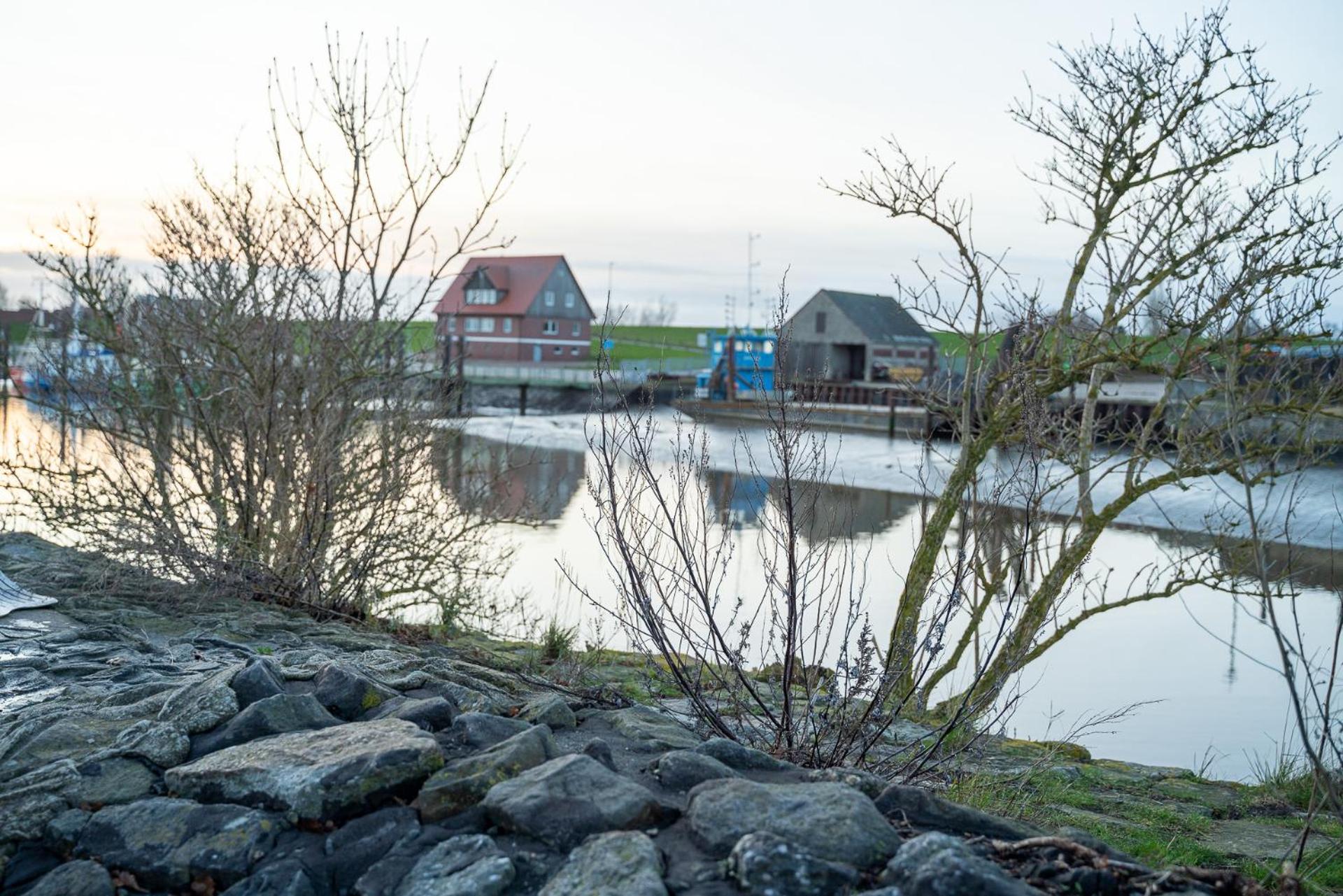 Urlaub an der Nordsee - NEU - Ferienhaus Deichliebe