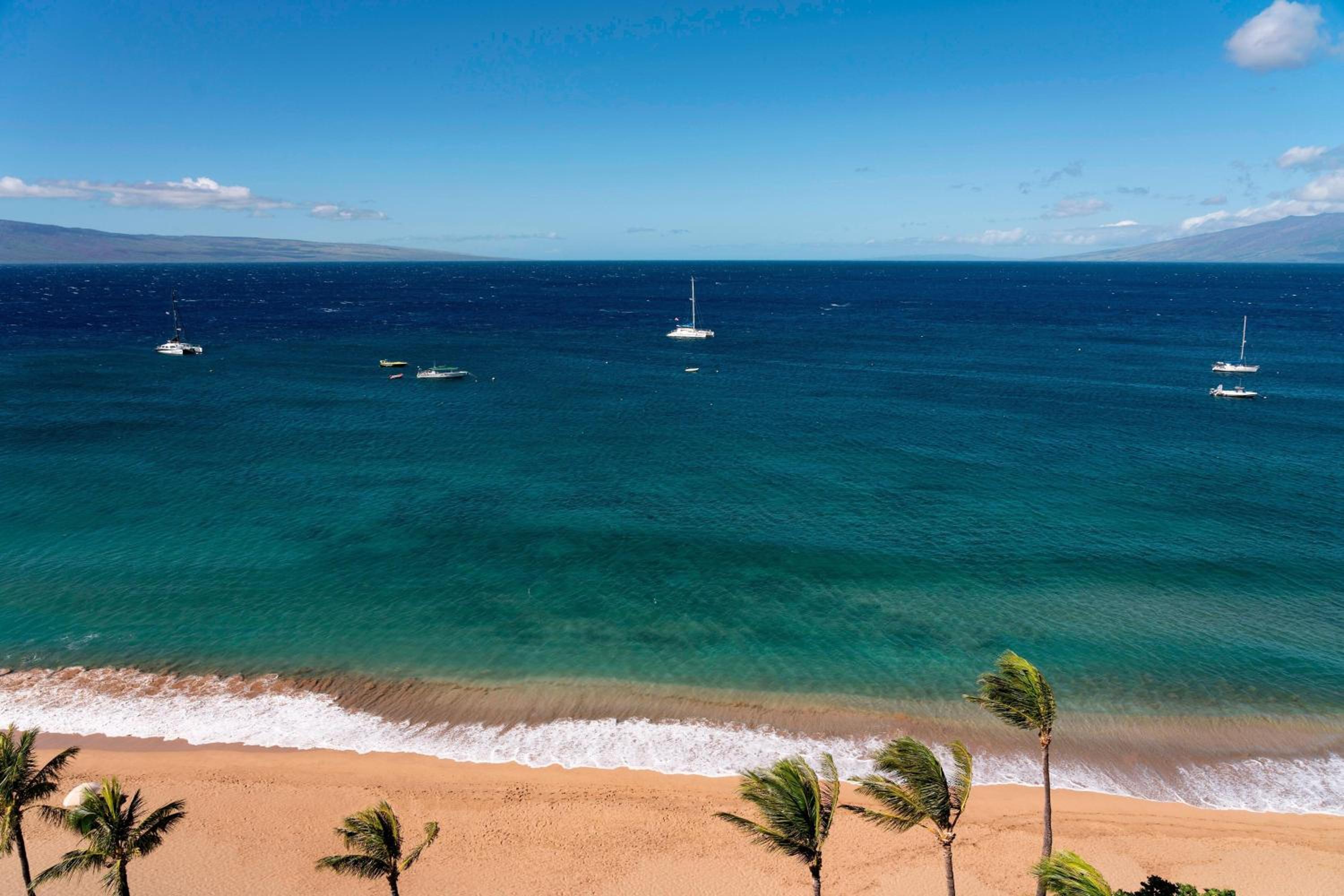 The Westin Maui Resort & Spa, Ka'anapali 33