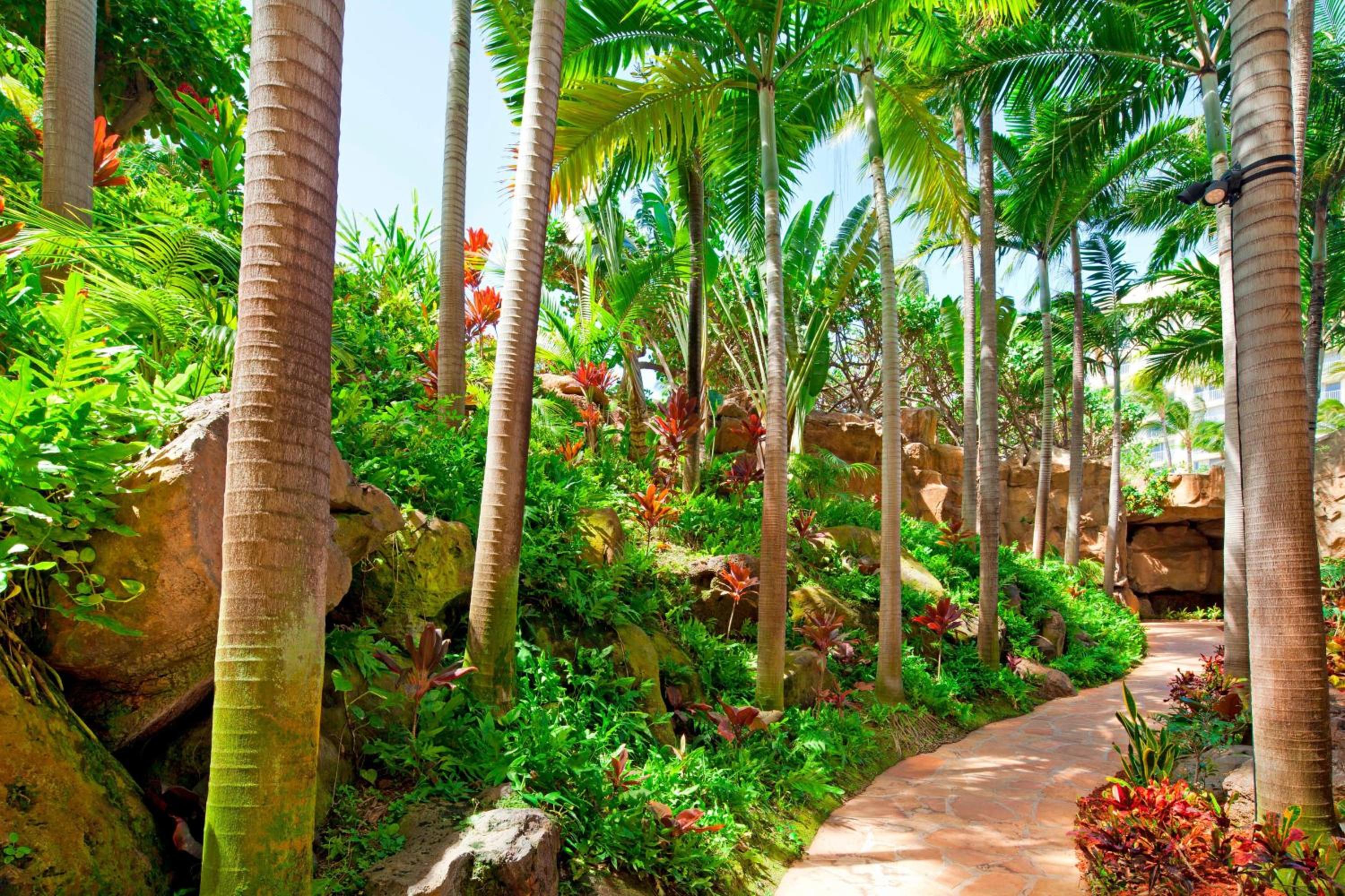 The Westin Maui Resort & Spa, Ka'anapali 171