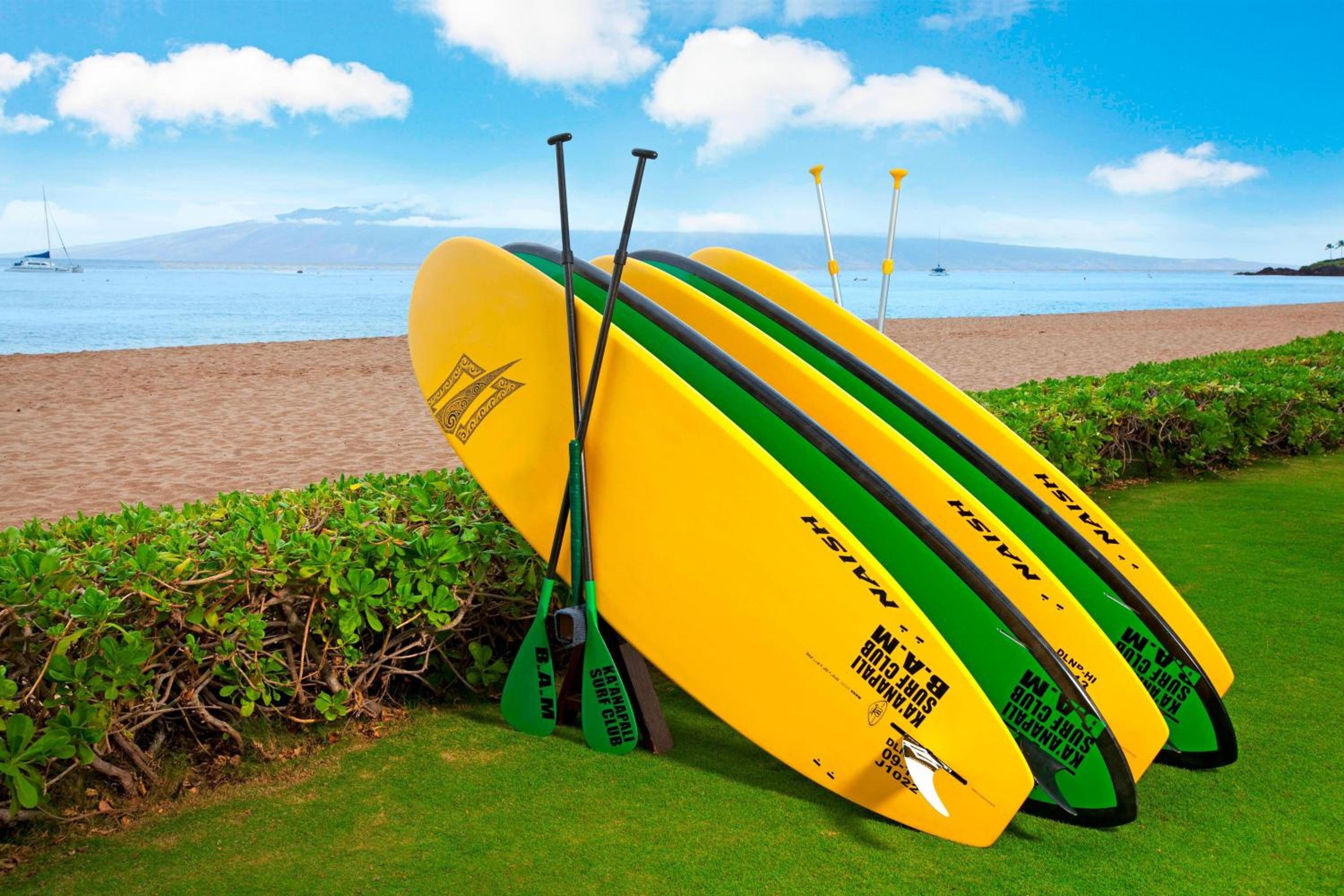 The Westin Maui Resort & Spa, Ka'anapali 209