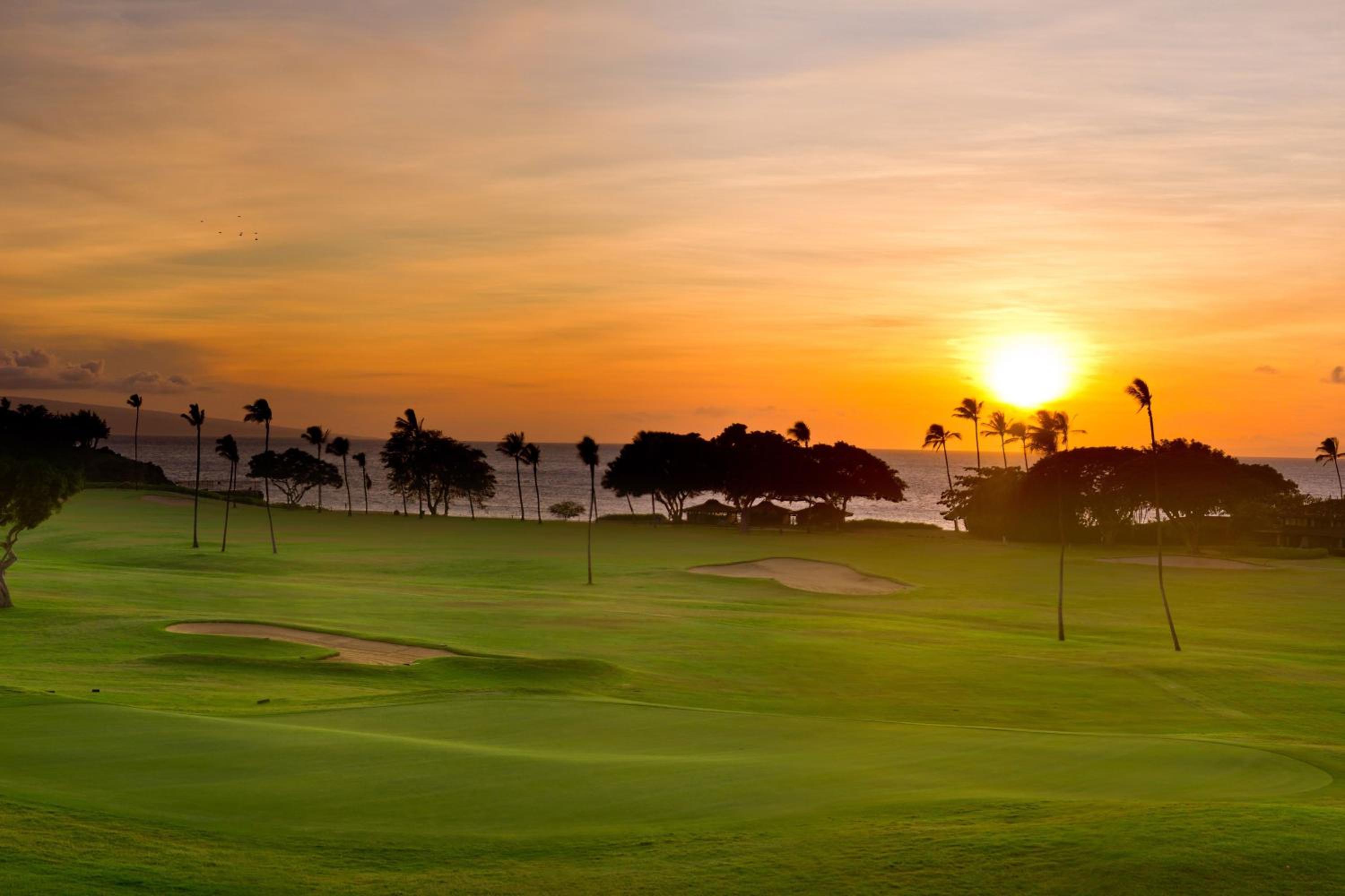 The Westin Maui Resort & Spa, Ka'anapali 103