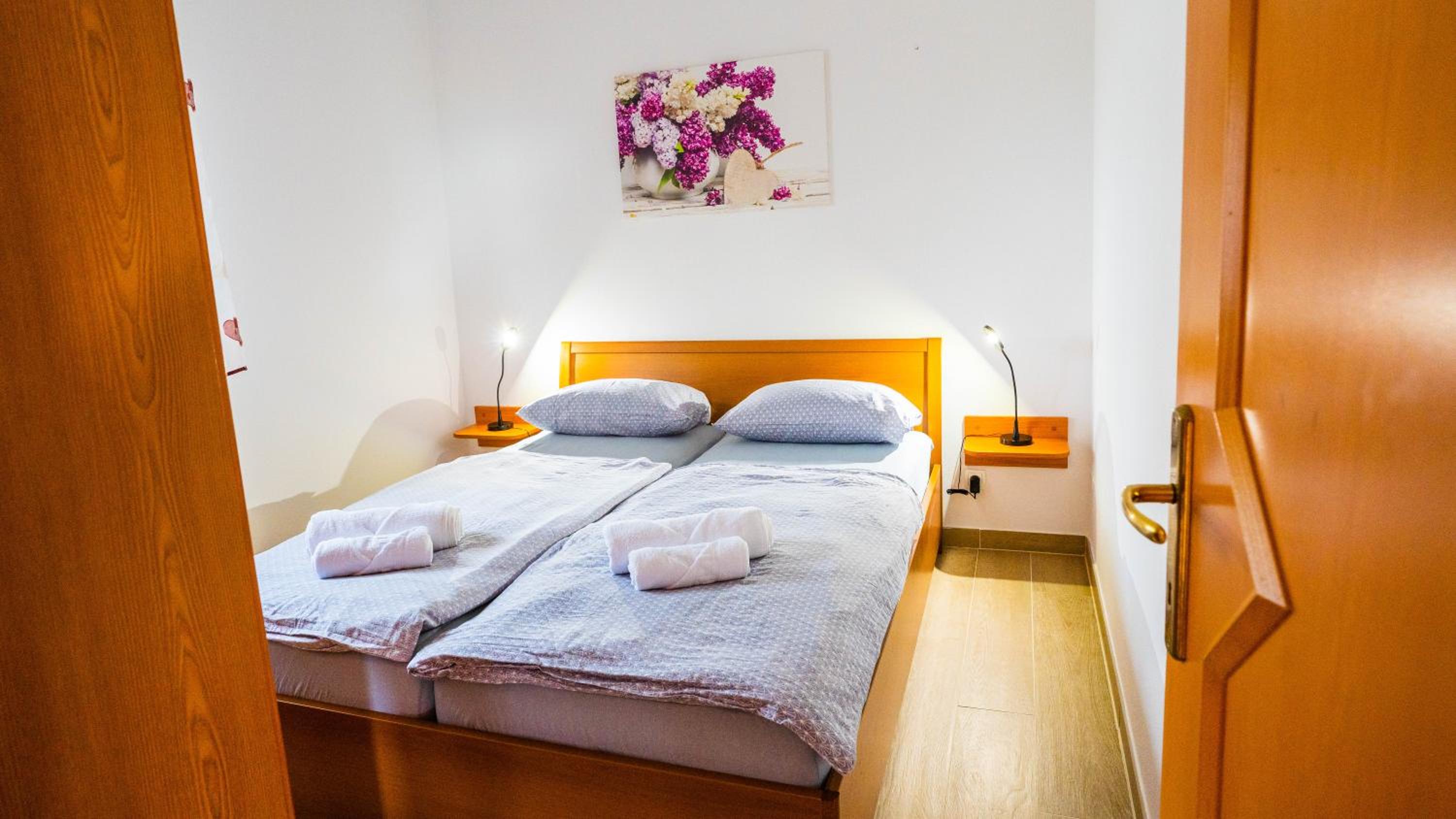 Apartma Tri oljke view 4