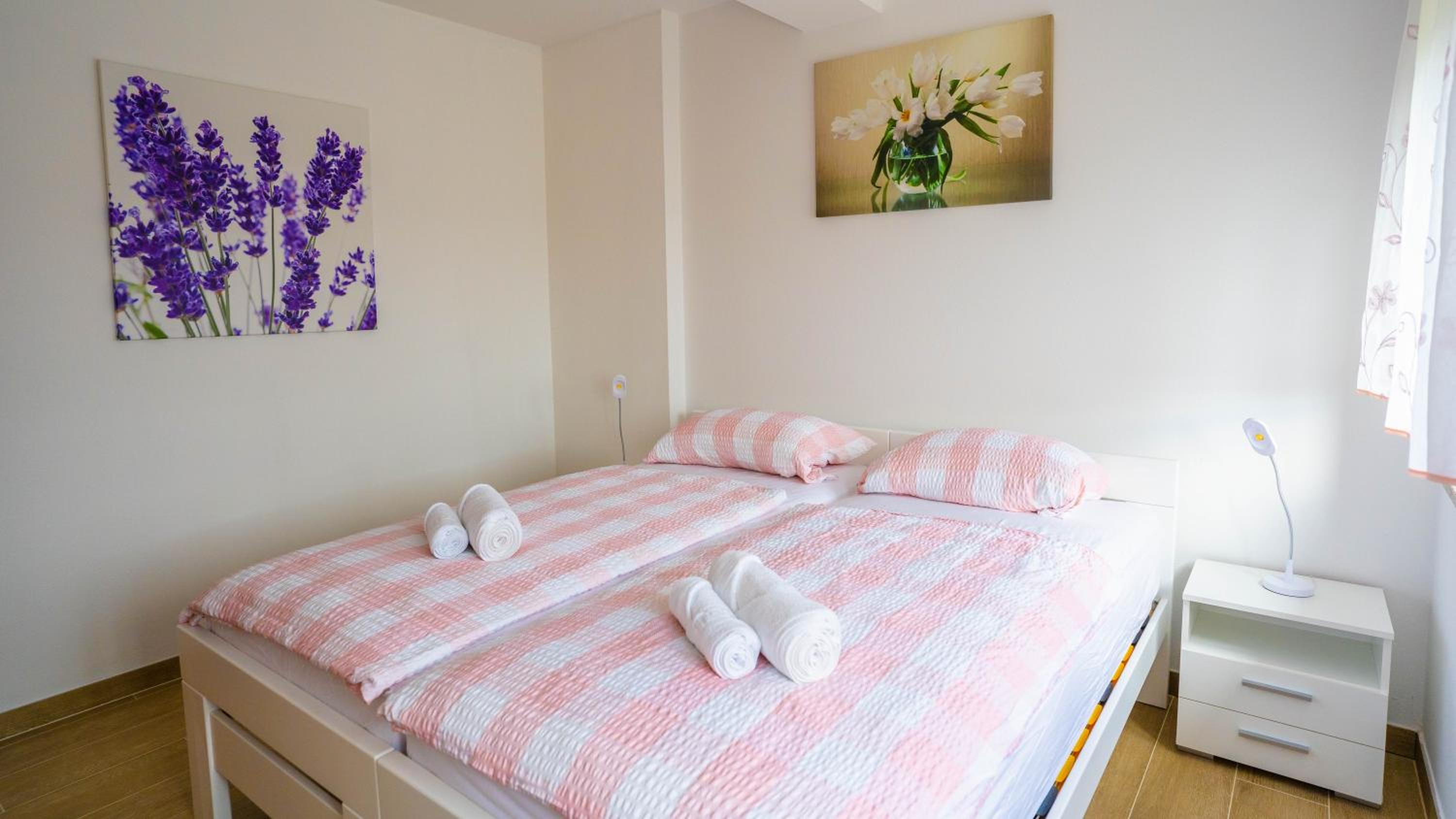 Apartma Tri oljke view 2