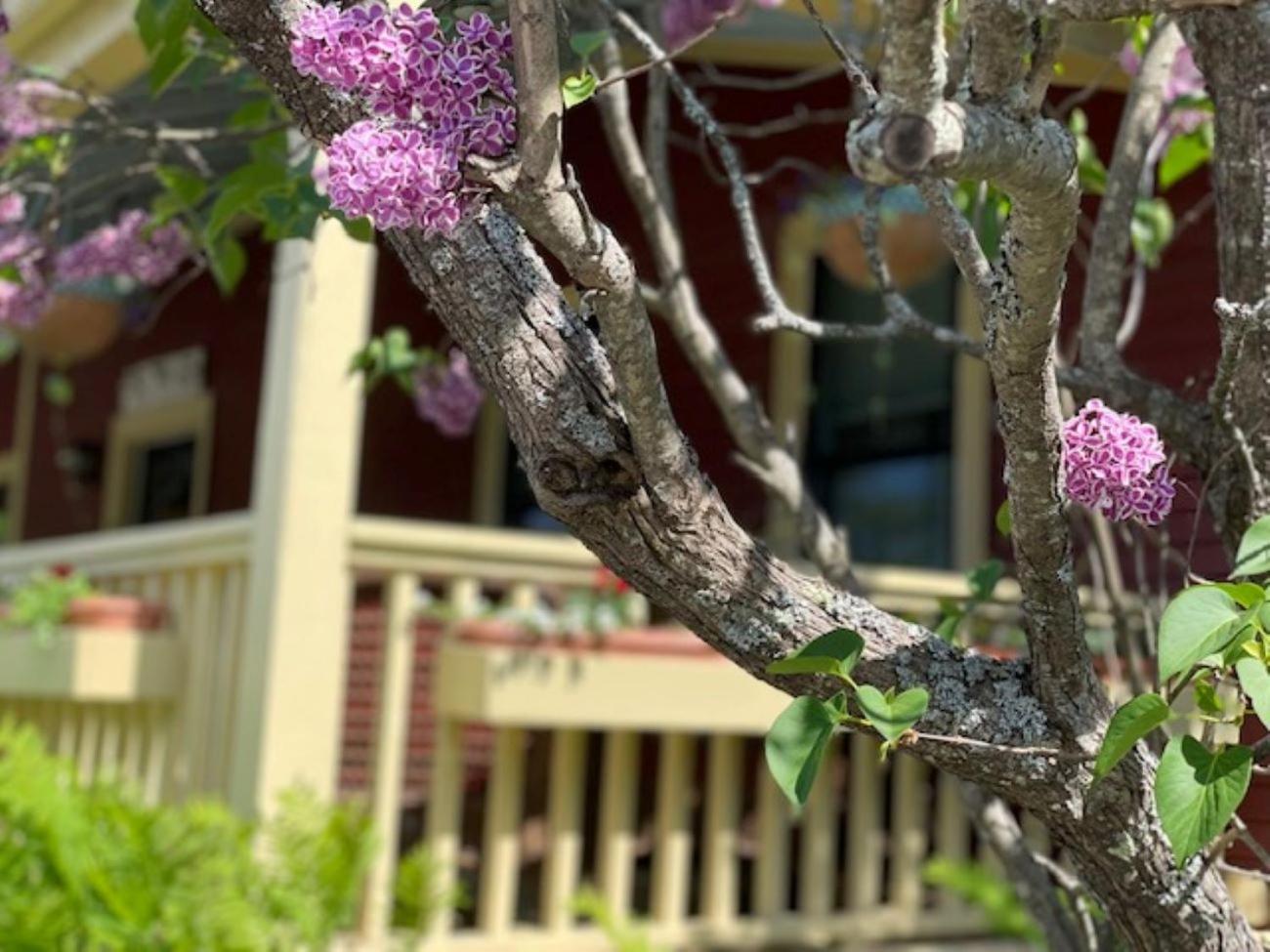 Central House Inn
