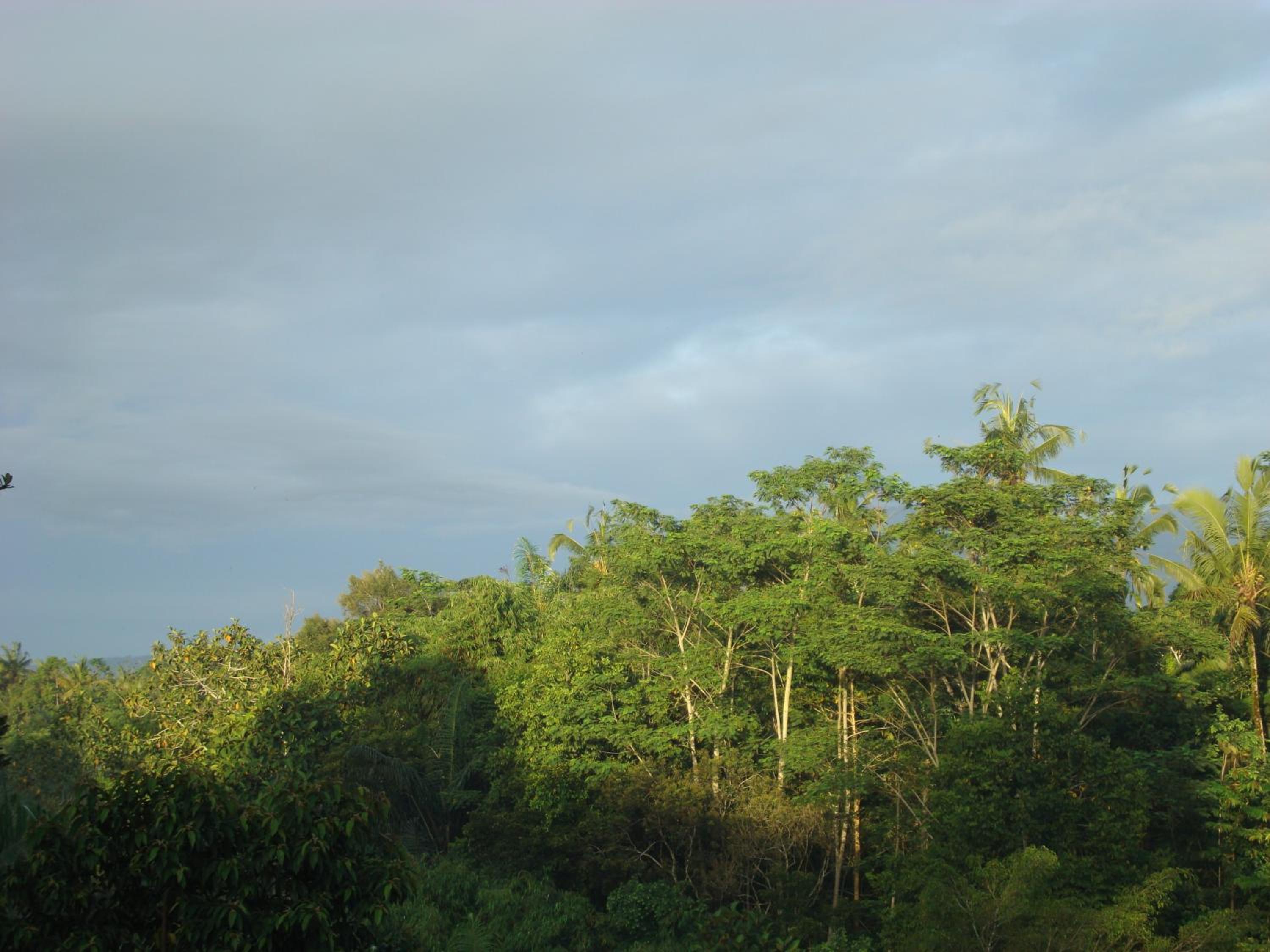 Senetan Villas and Spa Resort