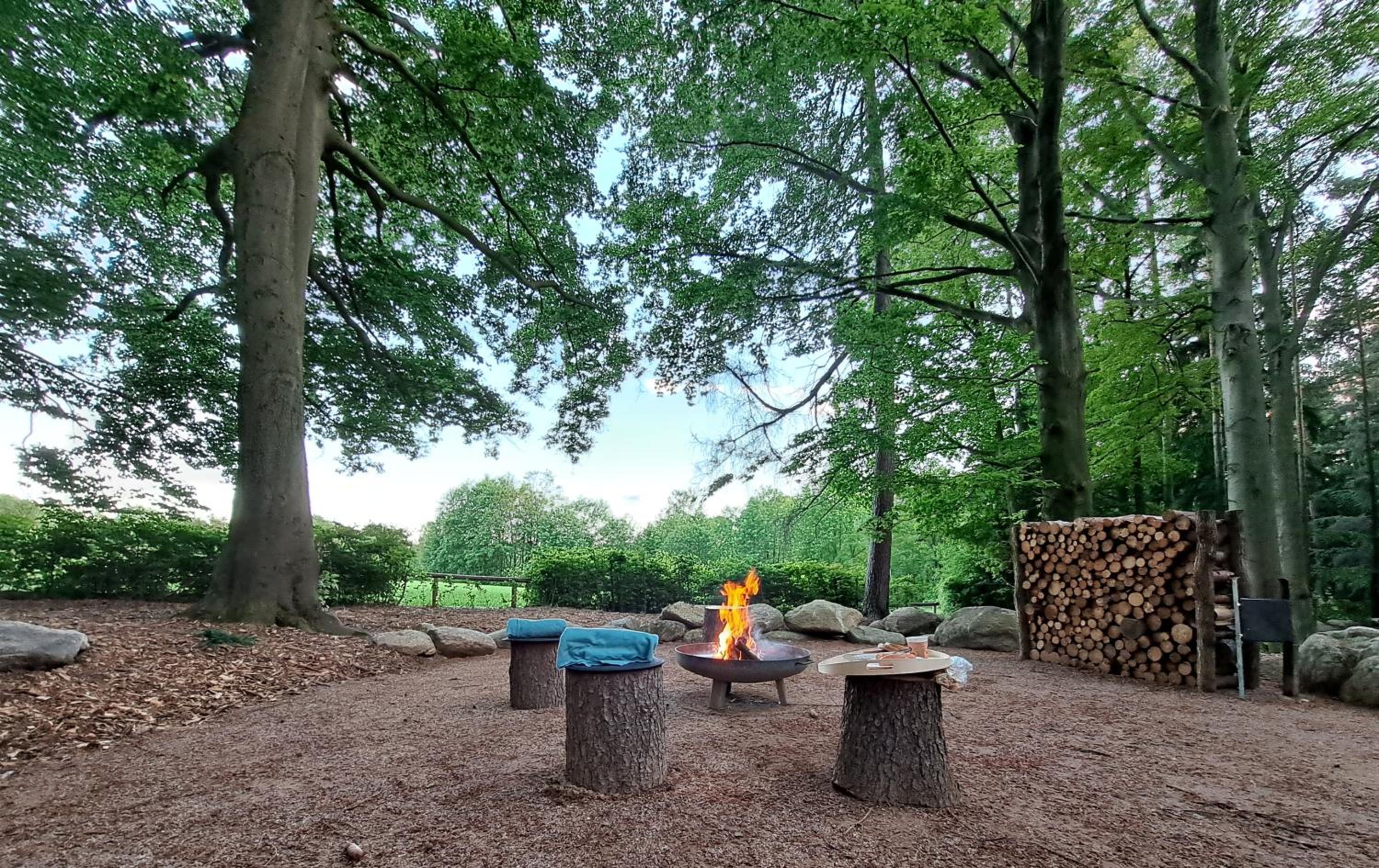 Forest Garden Romance