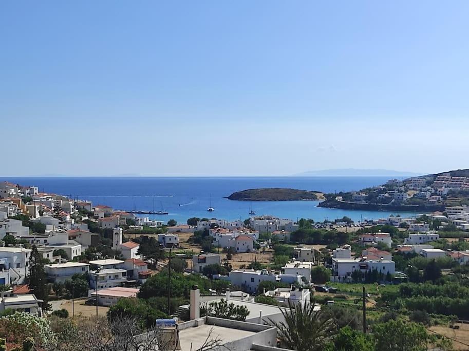 Zenios Andros-Cycladic house overlooking Batsi bay view 3