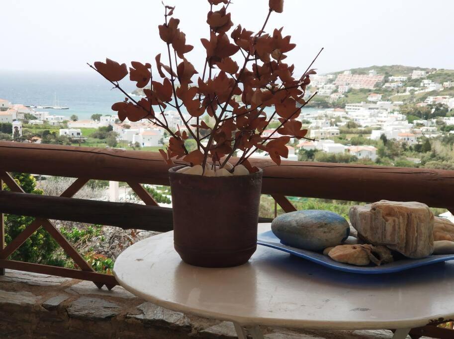 Zenios Andros-Cycladic house overlooking Batsi bay view 5