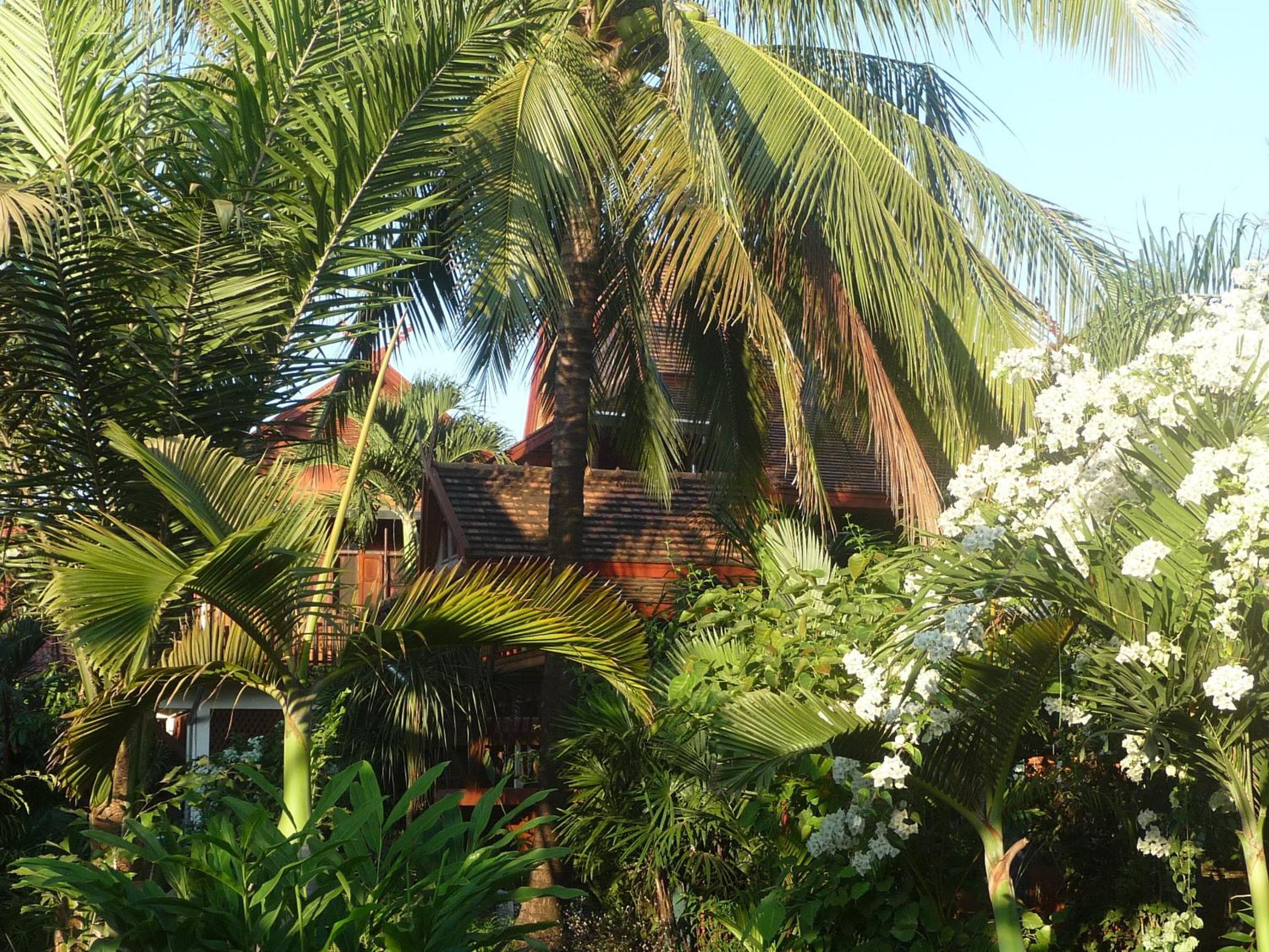 Golden Teak Home Resort