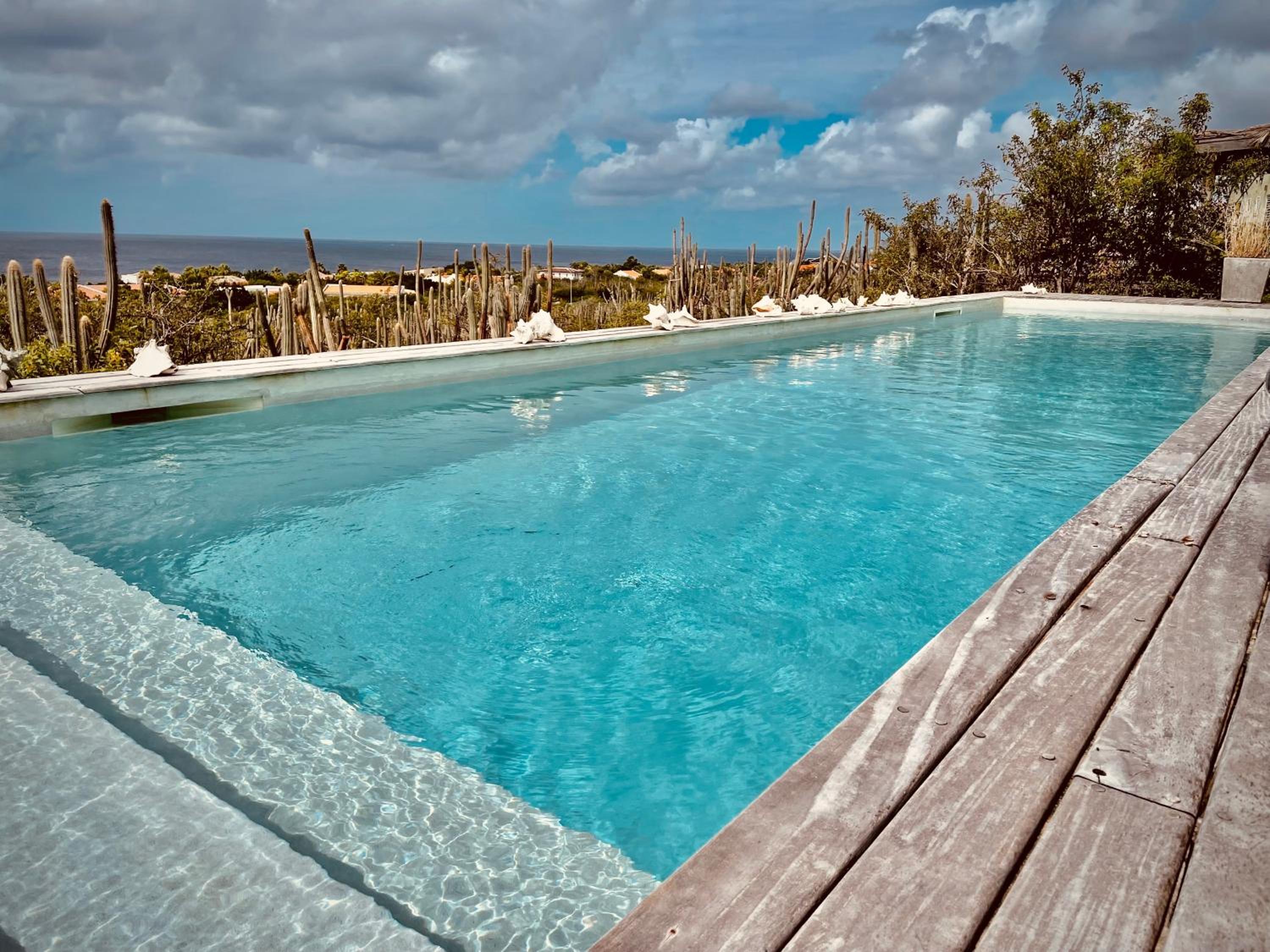 Caribbean Oceanview Villa