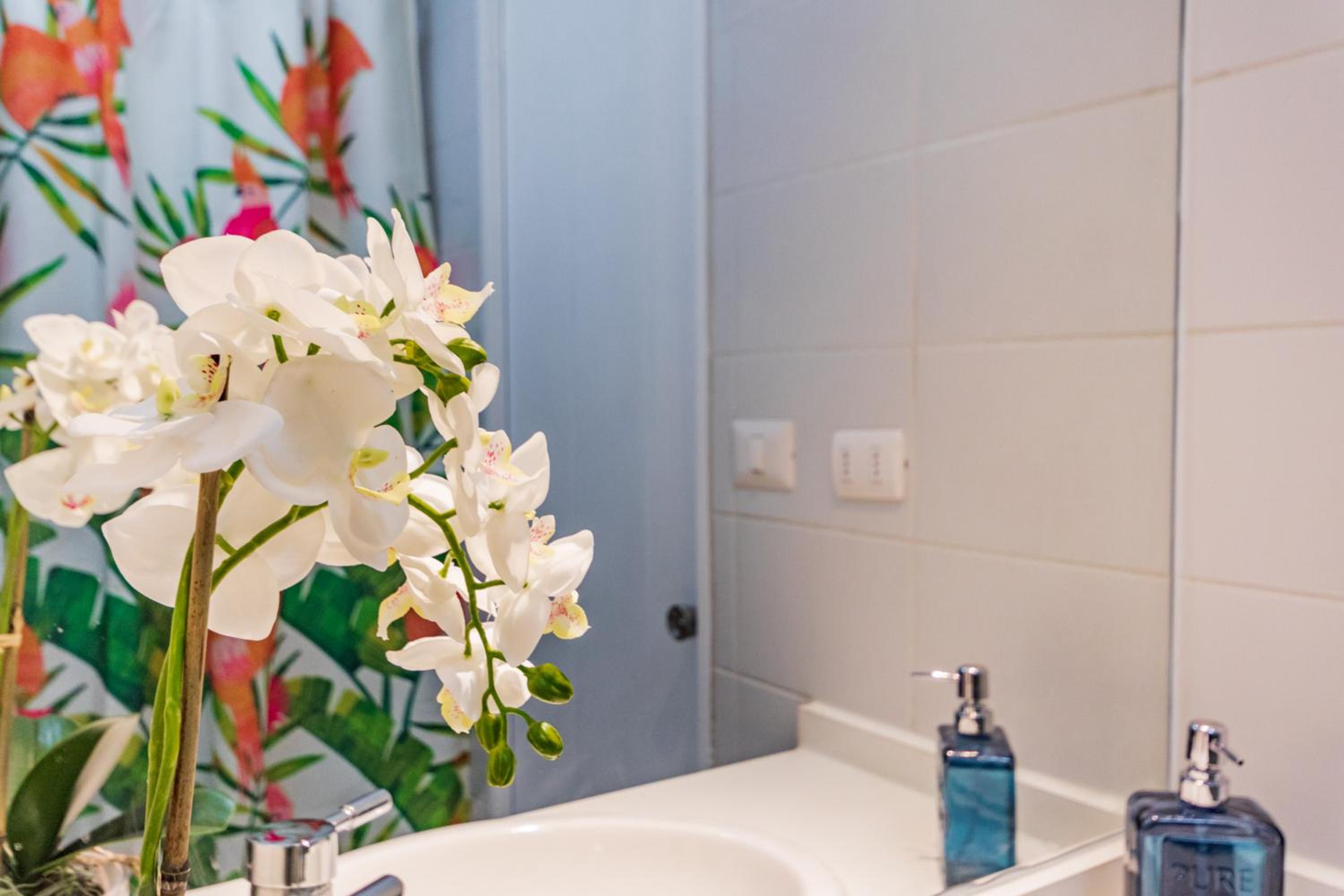San Carlos rentals - Lastarria