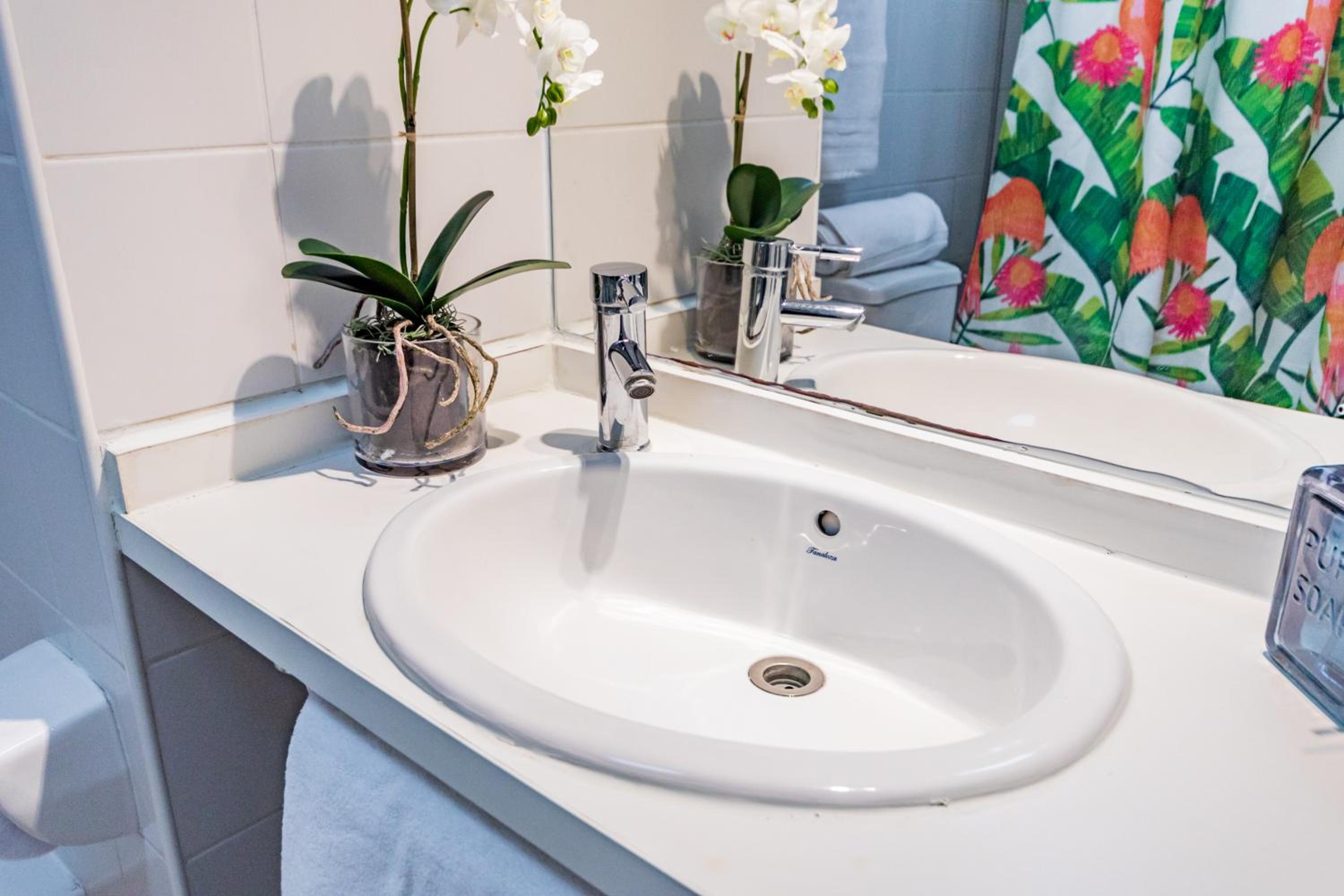 San Carlos rentals - Lastarria