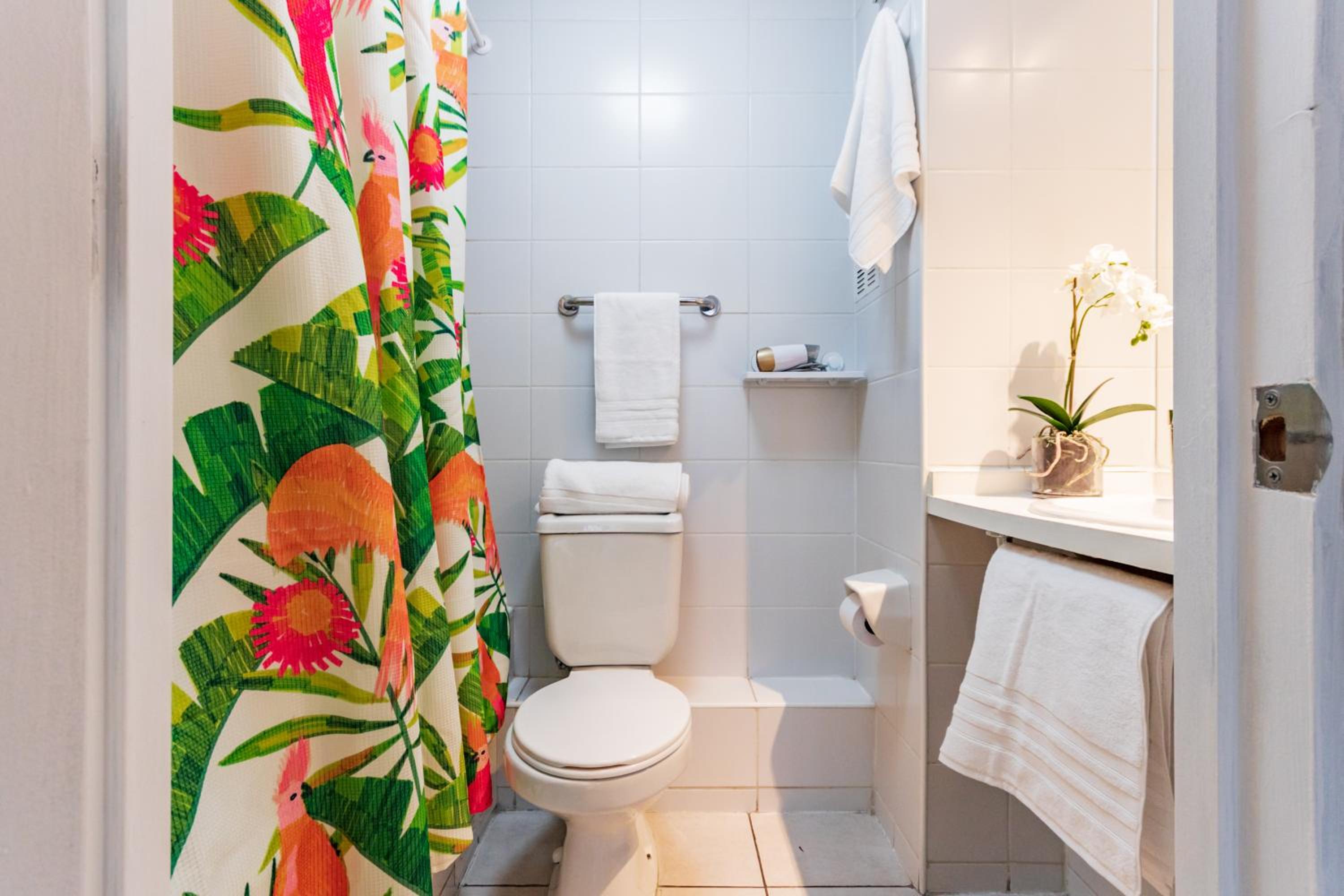 San Carlos rentals - Lastarria