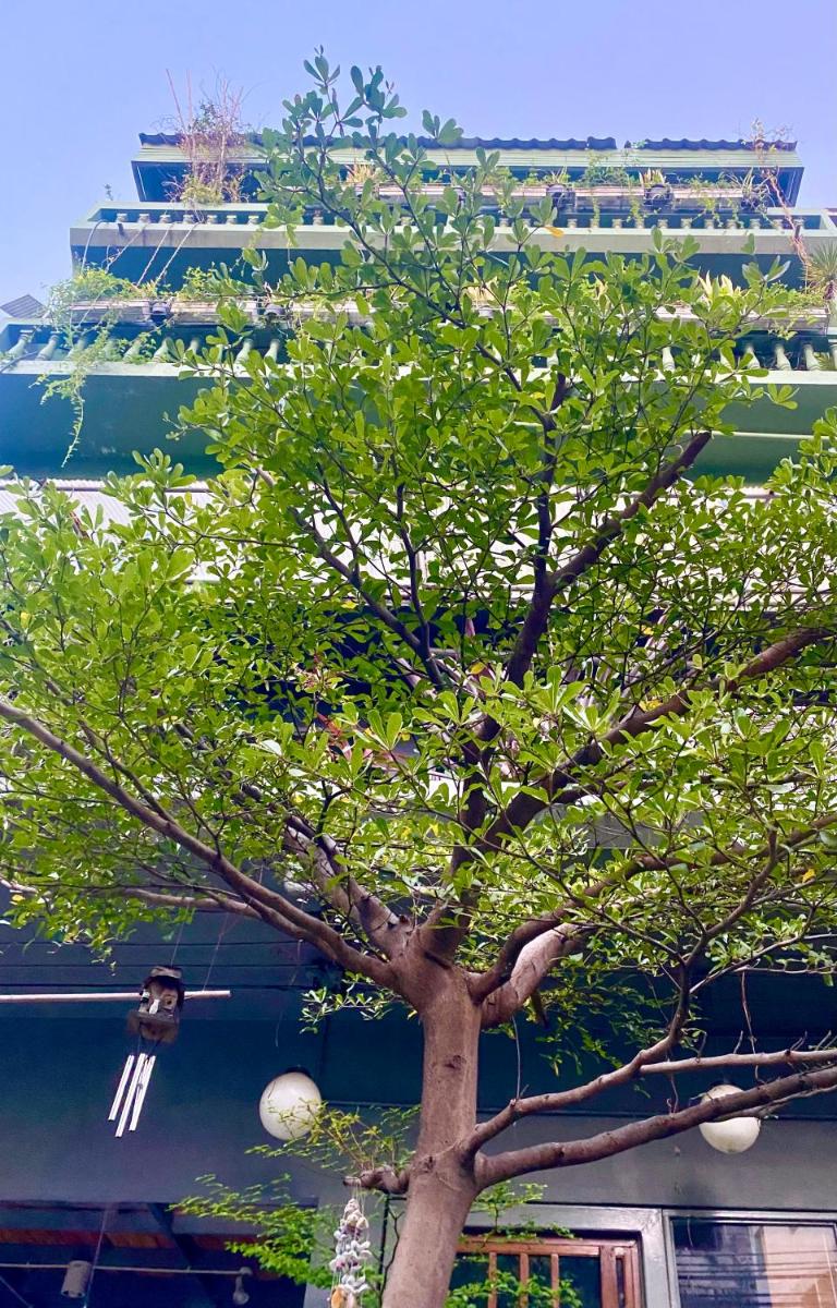 Nesuto Hostel Ramkamhaeng 52