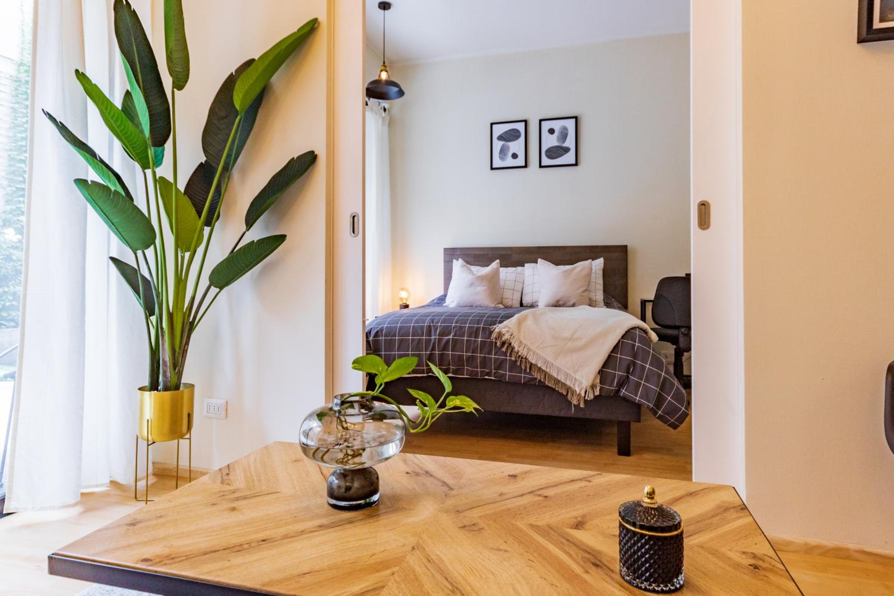 San Carlos rentals - Lastarria