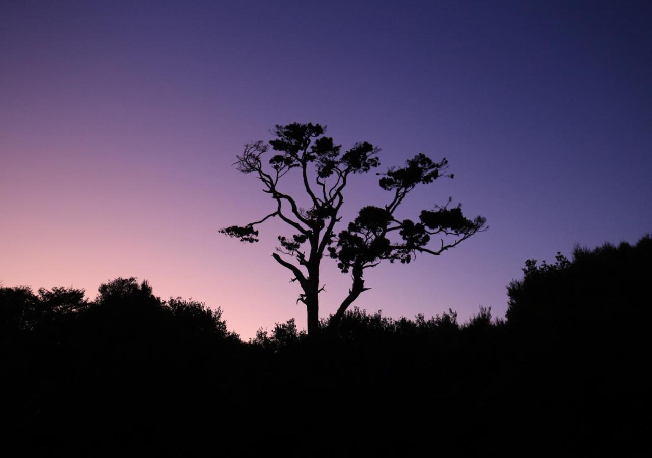 Hananui PurePod