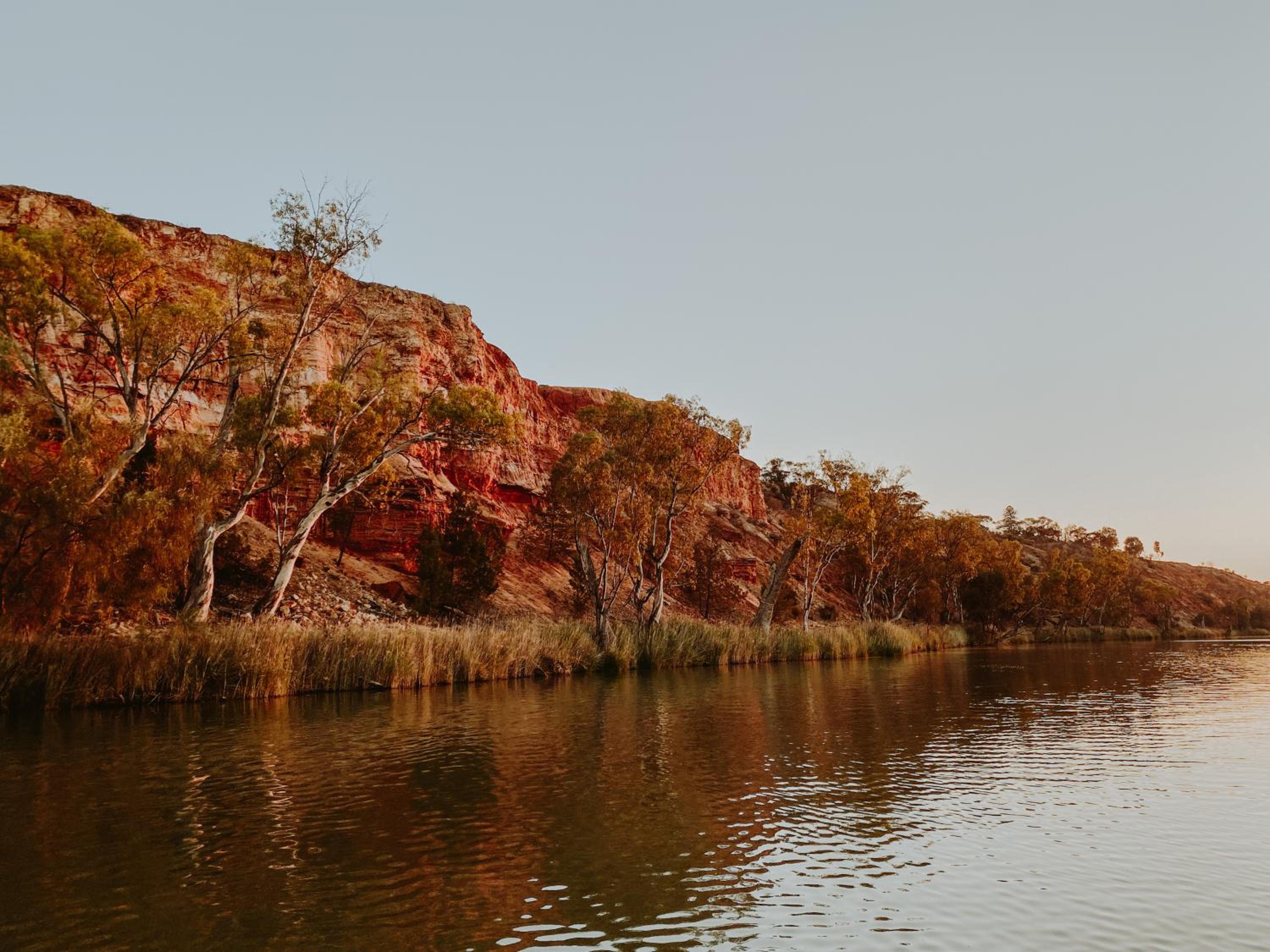 Riverbush Cottages