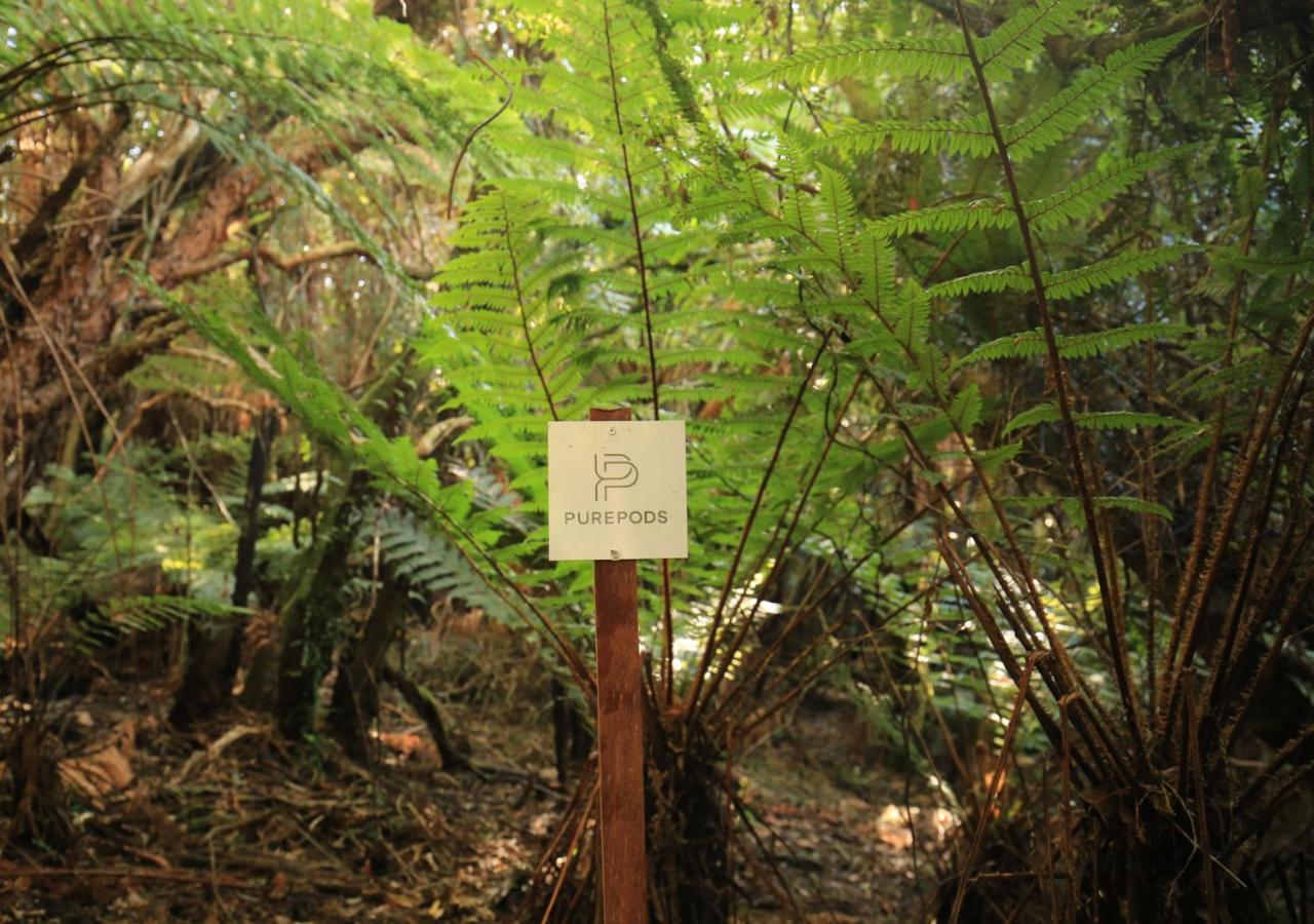 Hananui PurePod