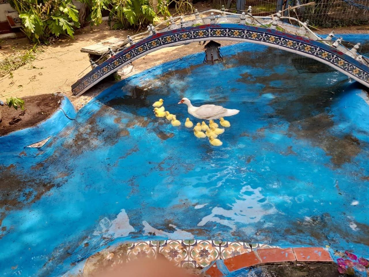 la posada del sol
