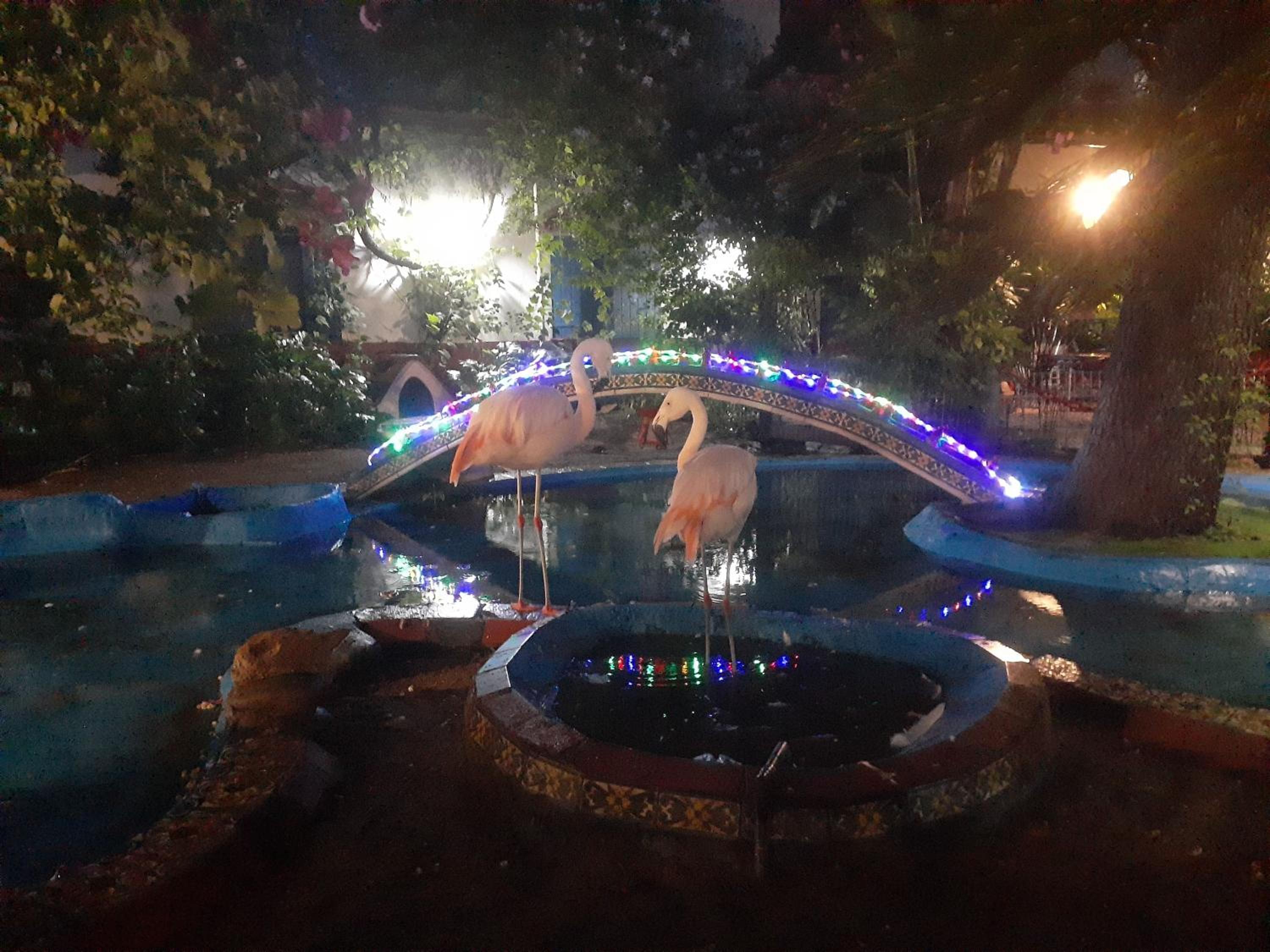 la posada del sol
