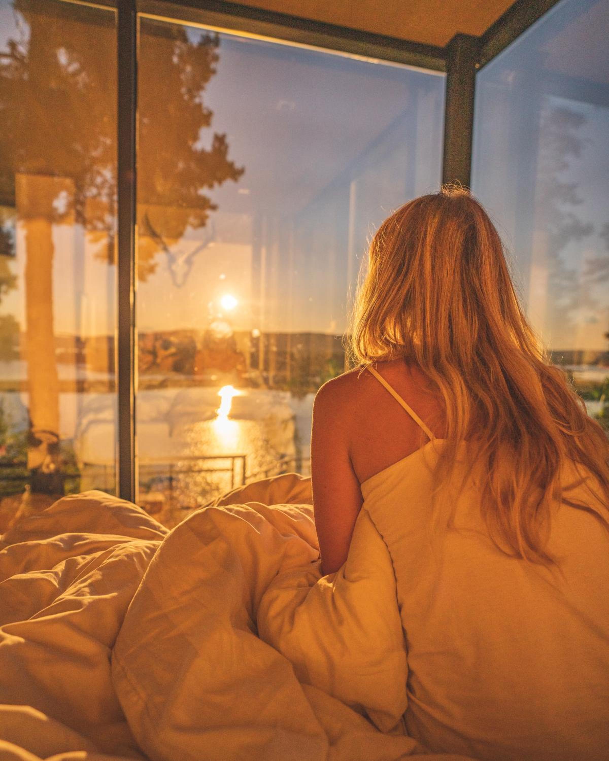 The WonderInn Mirrored Glass Cabin - Wonderinn Delta