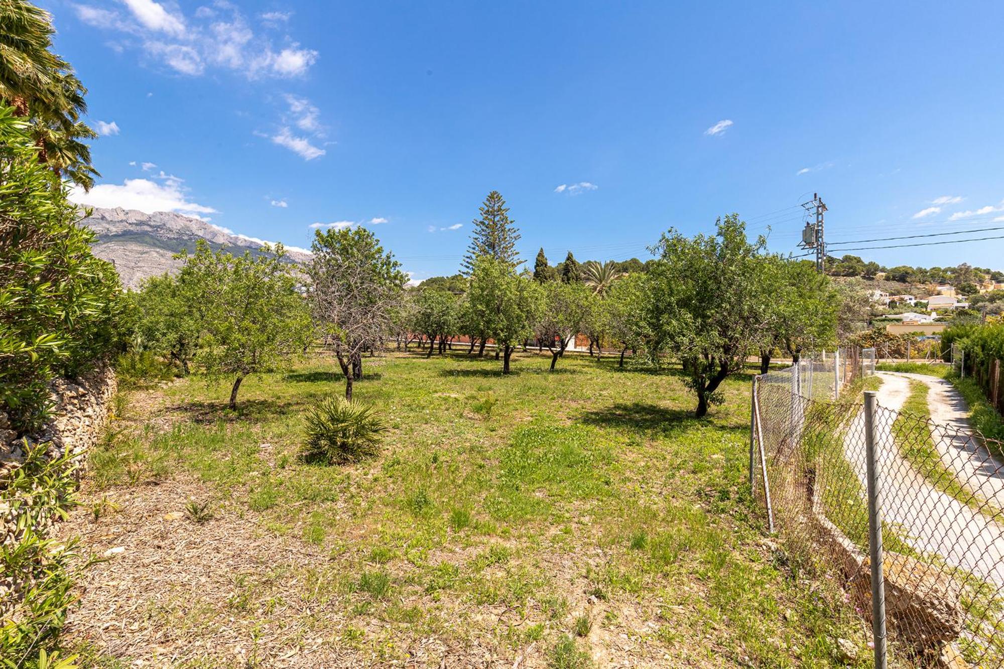 Finca Nora