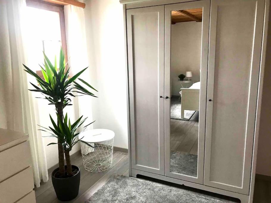 Appartement mit Alpensicht, beheiztem Pool, Garten