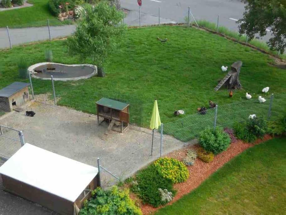Appartement mit Alpensicht, beheiztem Pool, Garten