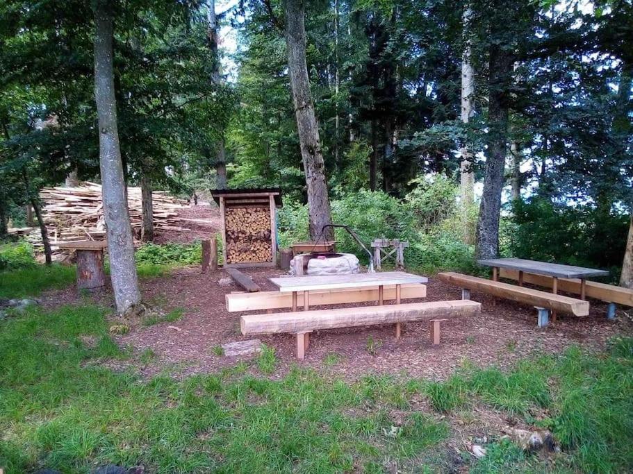 Appartement mit Alpensicht, beheiztem Pool, Garten