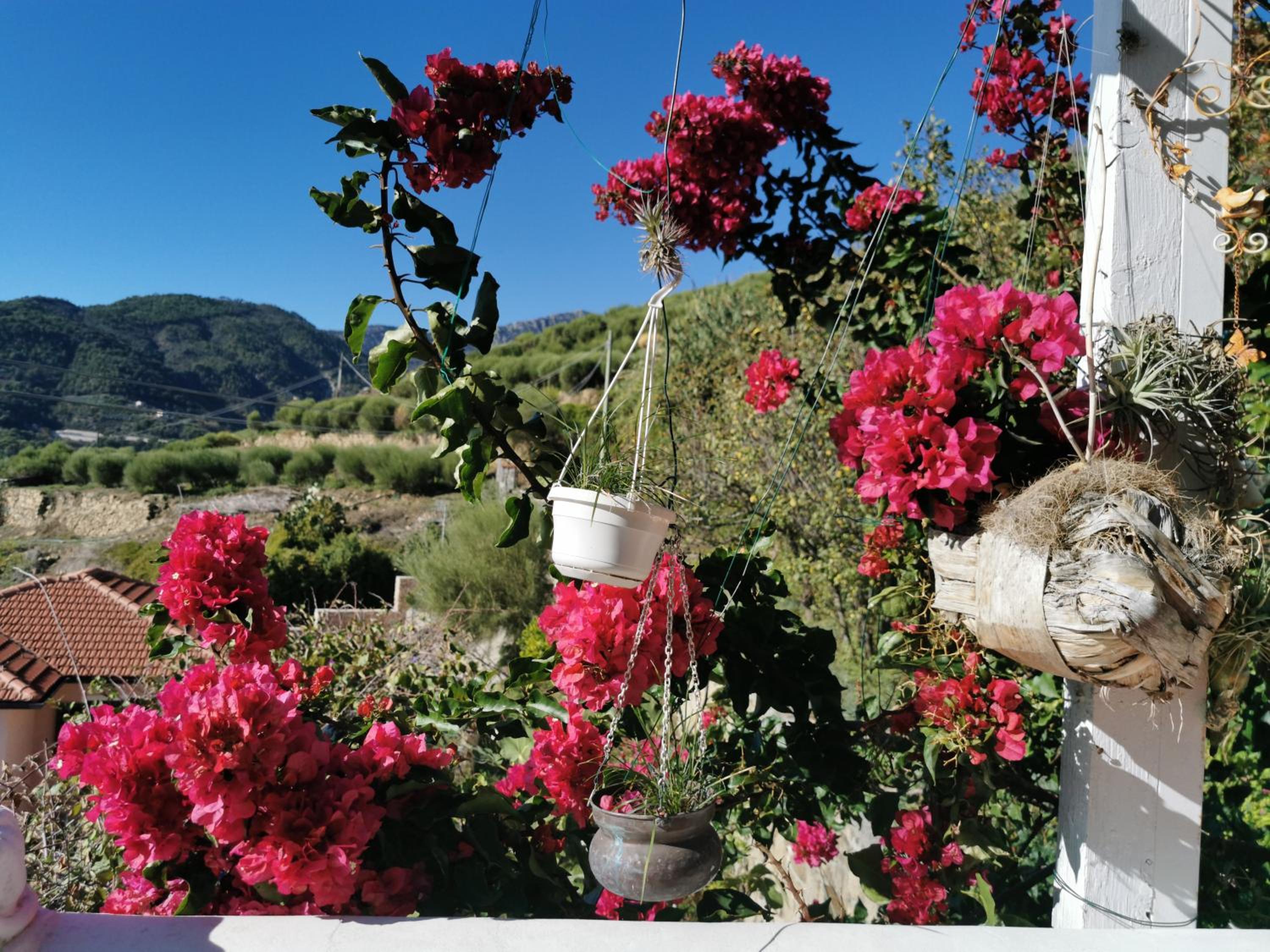 Romantic Casa Lorenzina Affittacamere