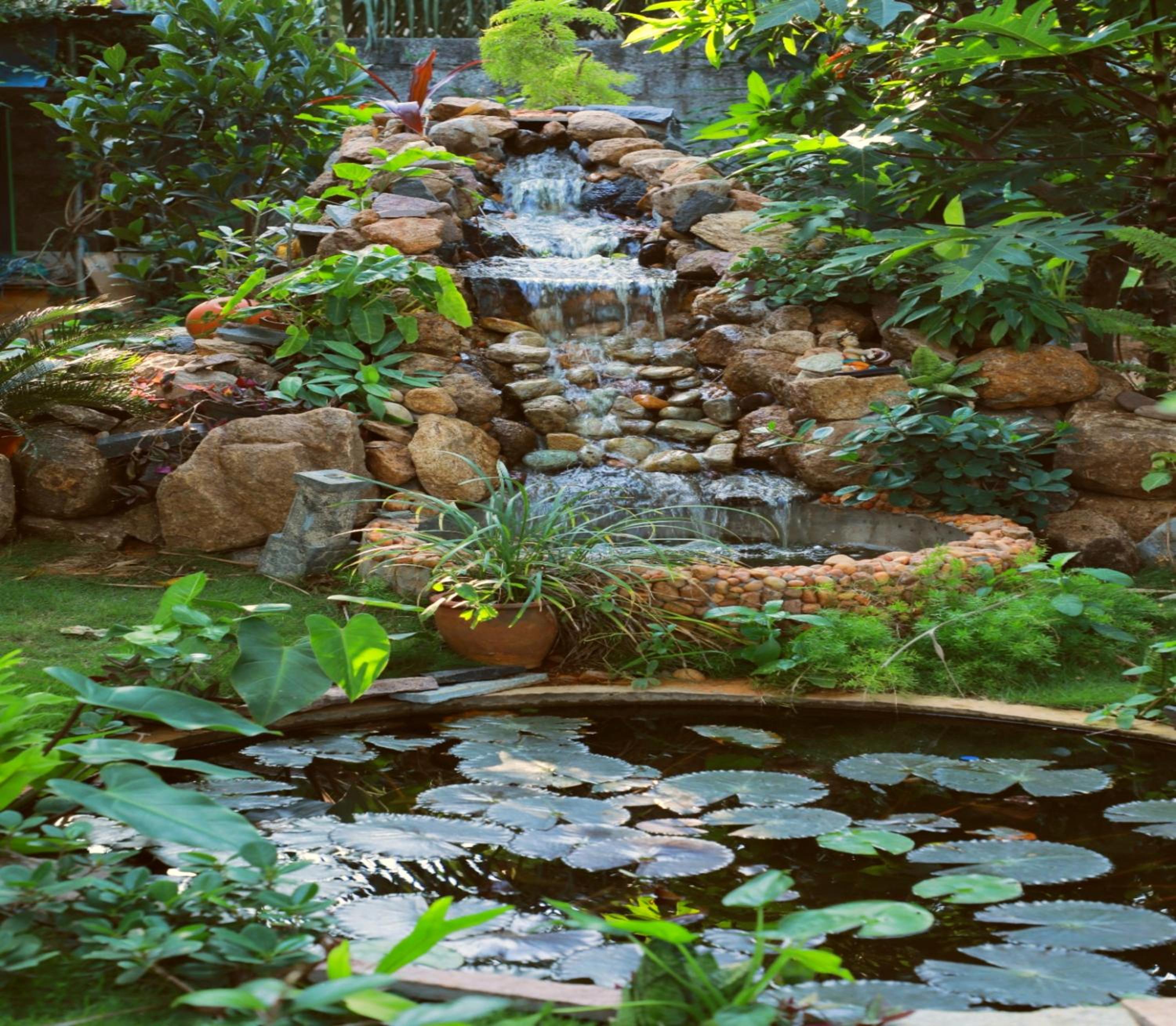 Farmdean Resort