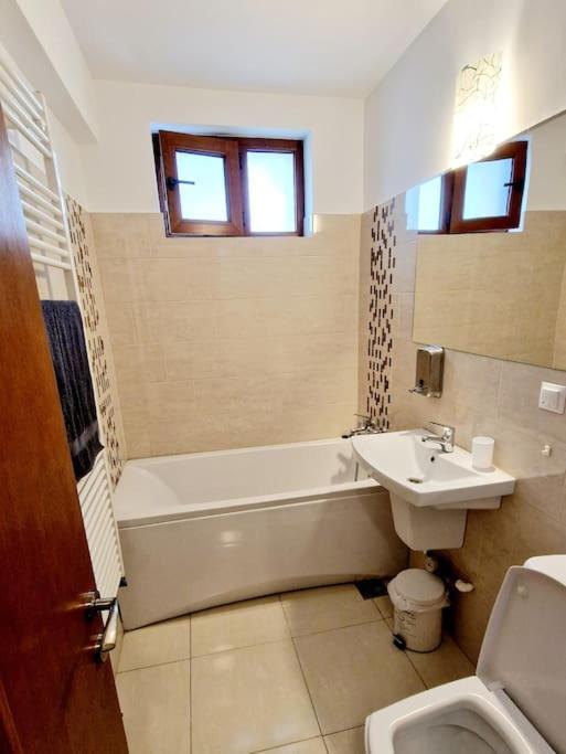 Belle Apartments - Bratianu view 4