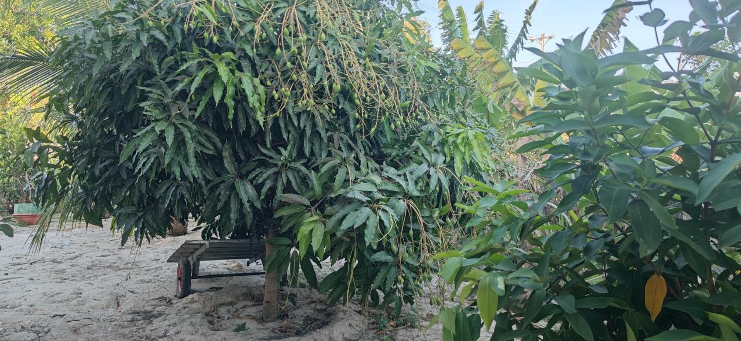 Ngôi nhà nhỏ Lagi Homestay