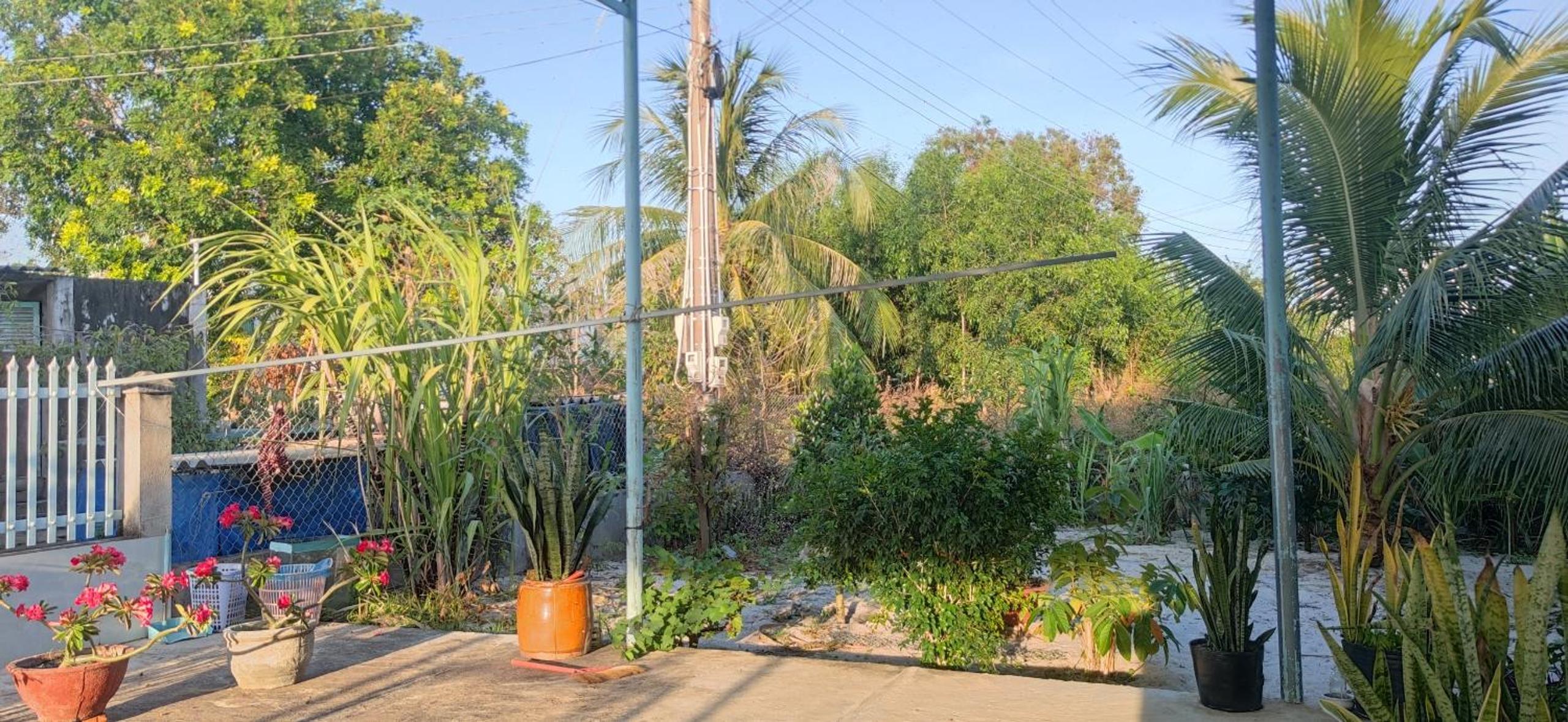 Ngôi nhà nhỏ Lagi Homestay