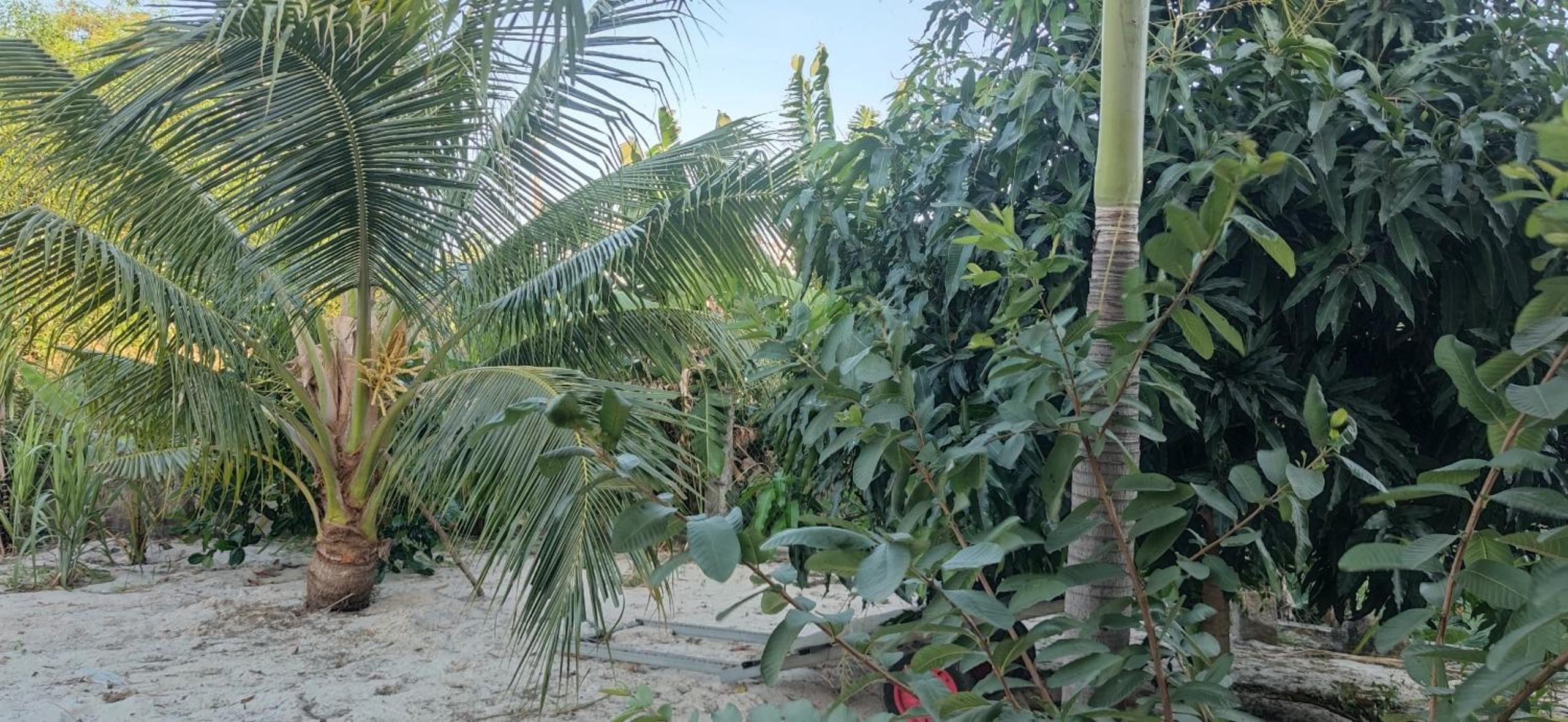 Ngôi nhà nhỏ Lagi Homestay