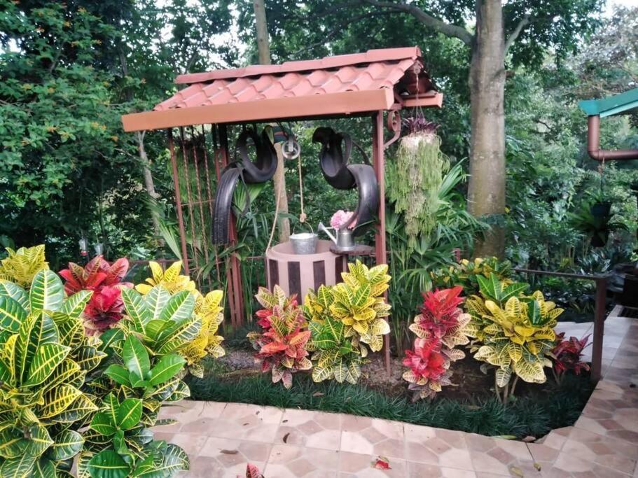 Eco Villas Tambor Tucanes