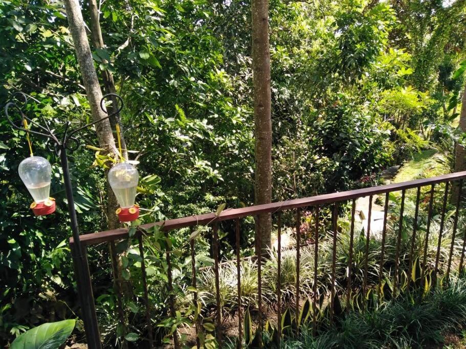 Eco Villas Tambor Tucanes