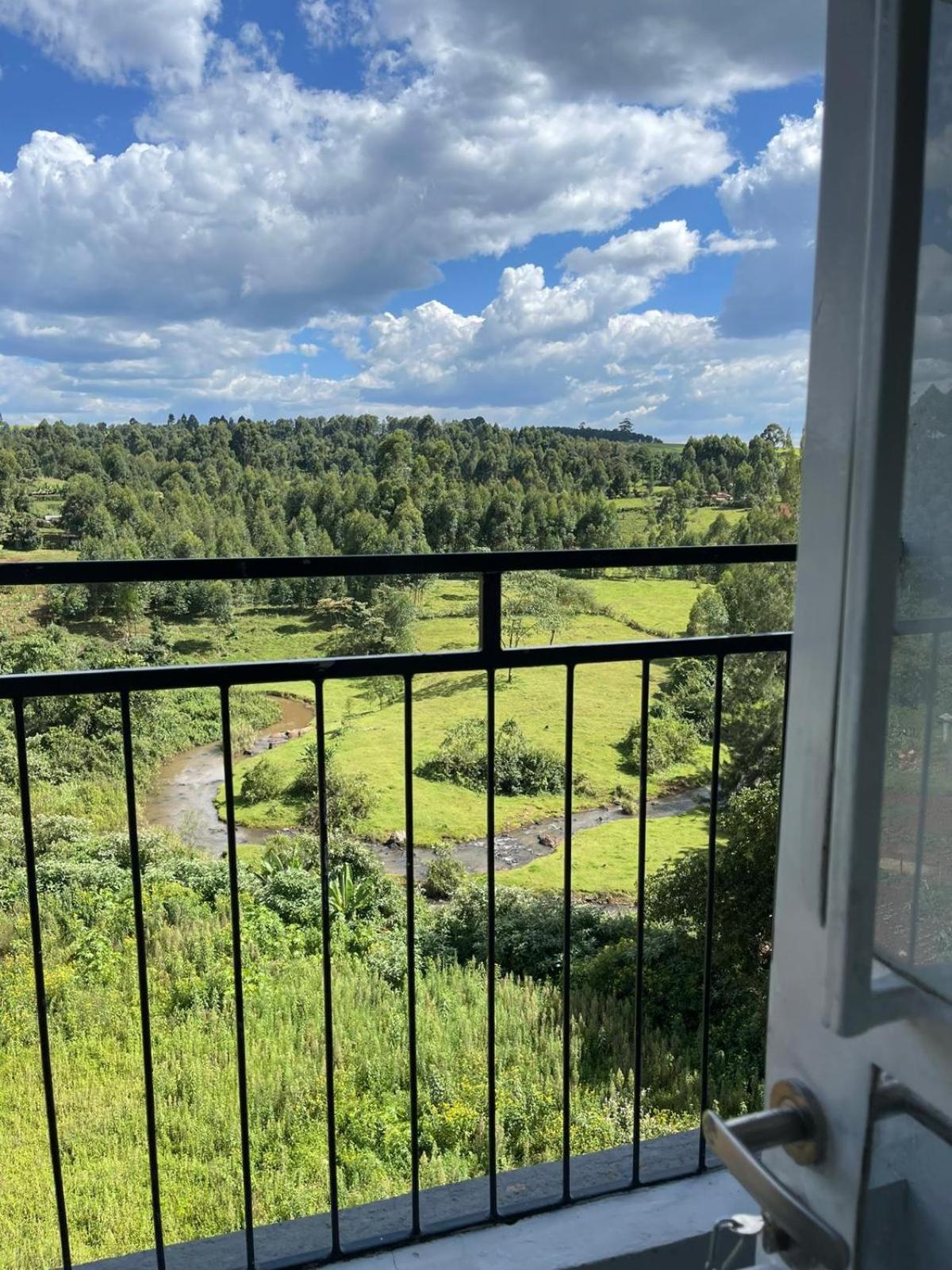 Zoe Homes 1br and 2br Apartment Greypoint 406 view 2