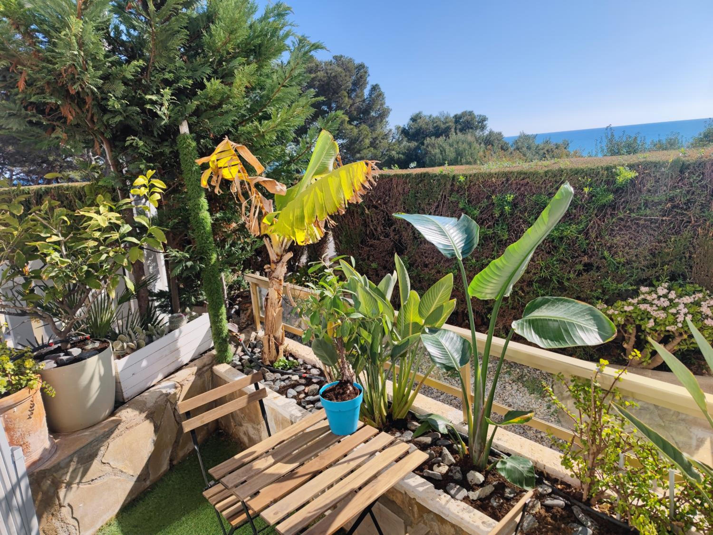 Hotel Espectacular Apartamento Con Spa Privado