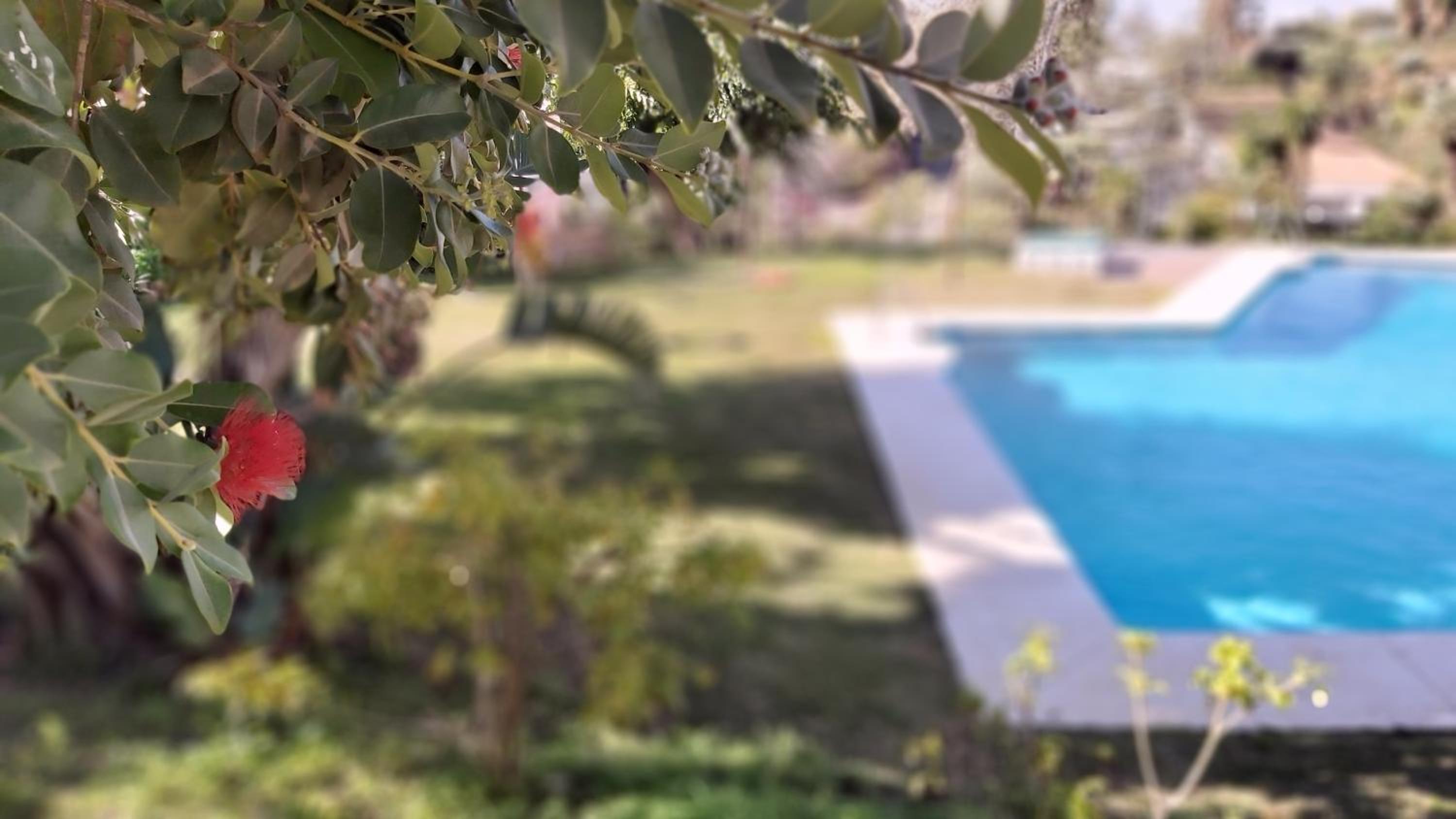 Del Parque Flats Interpares Swimmingpool