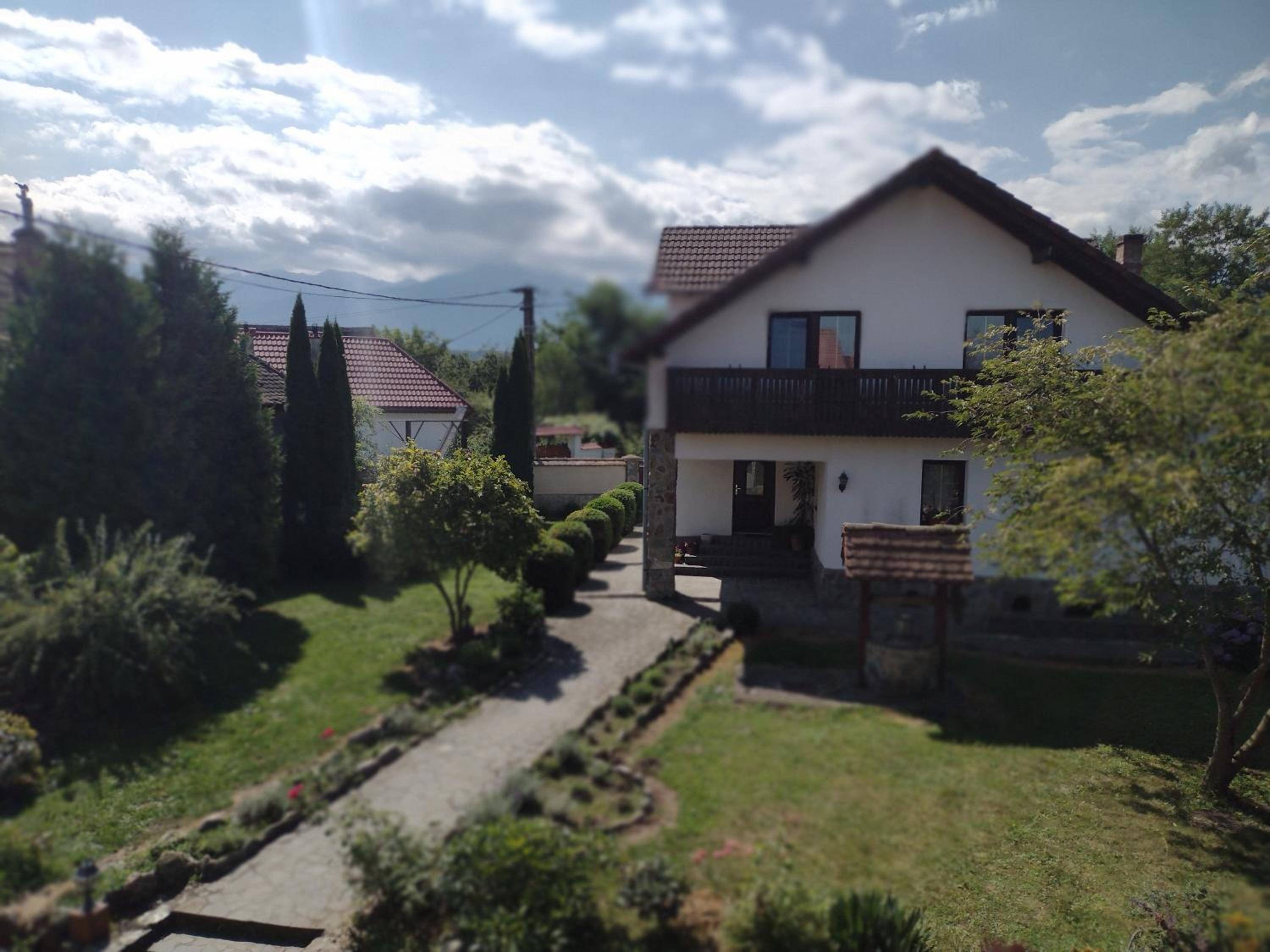 Photo 39