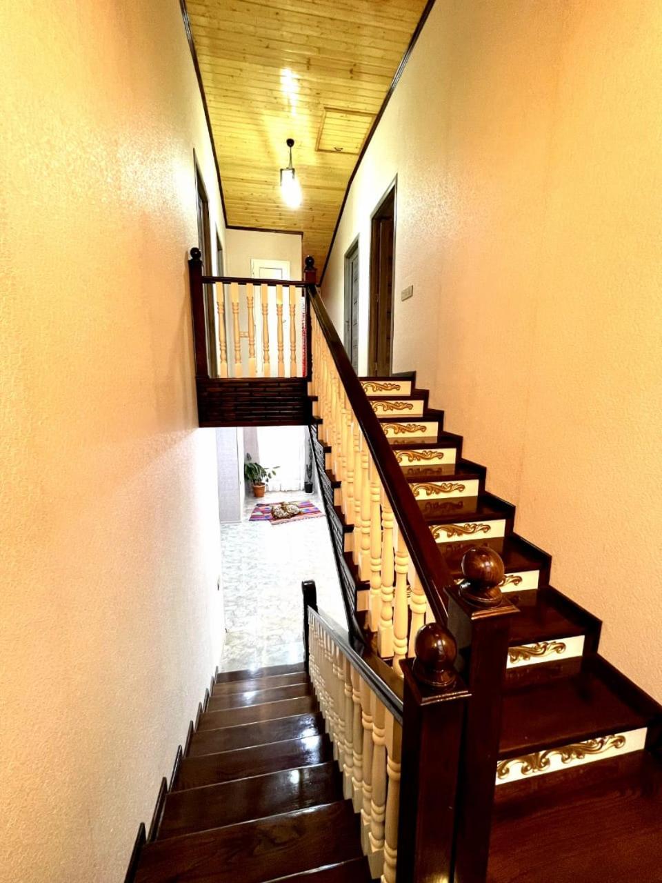 Gabala lux house