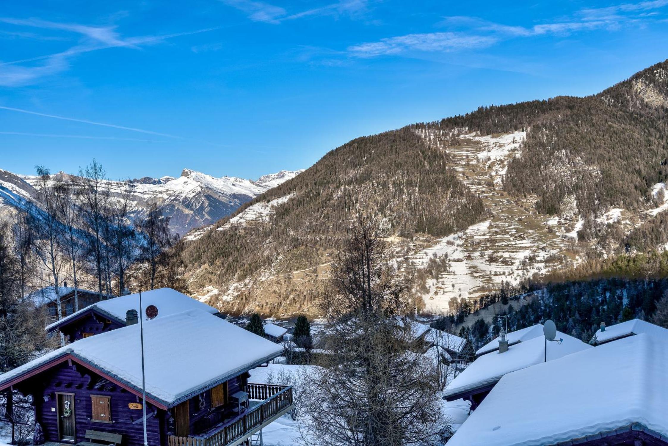 Appartement Clairiere 102