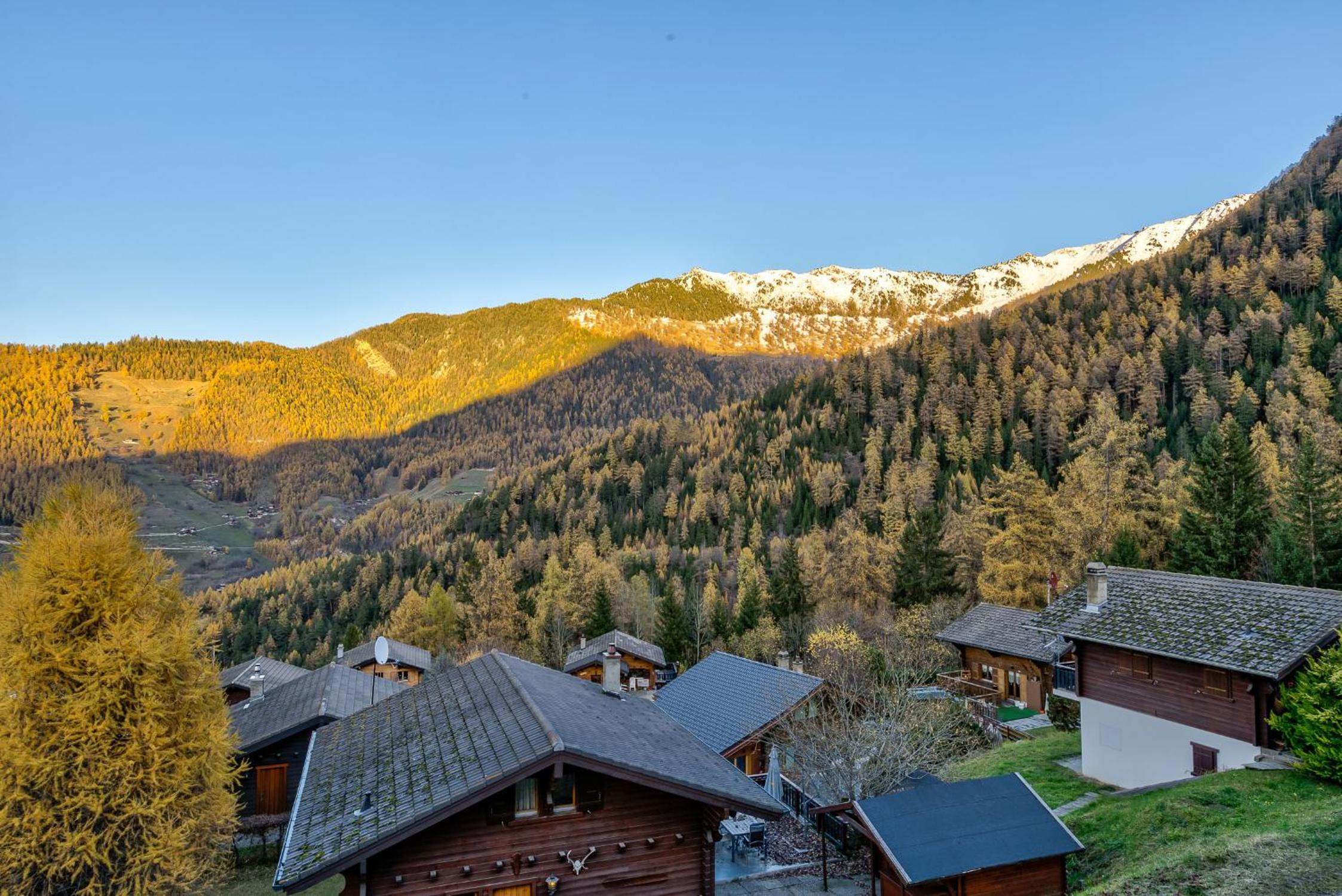 Appartement Clairiere 102